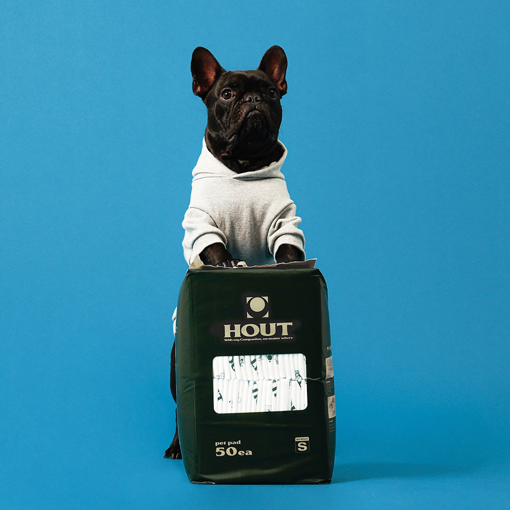 하웃 스위프트 배변 패드 2종(HOUT Swift pet pad 2type) - 3