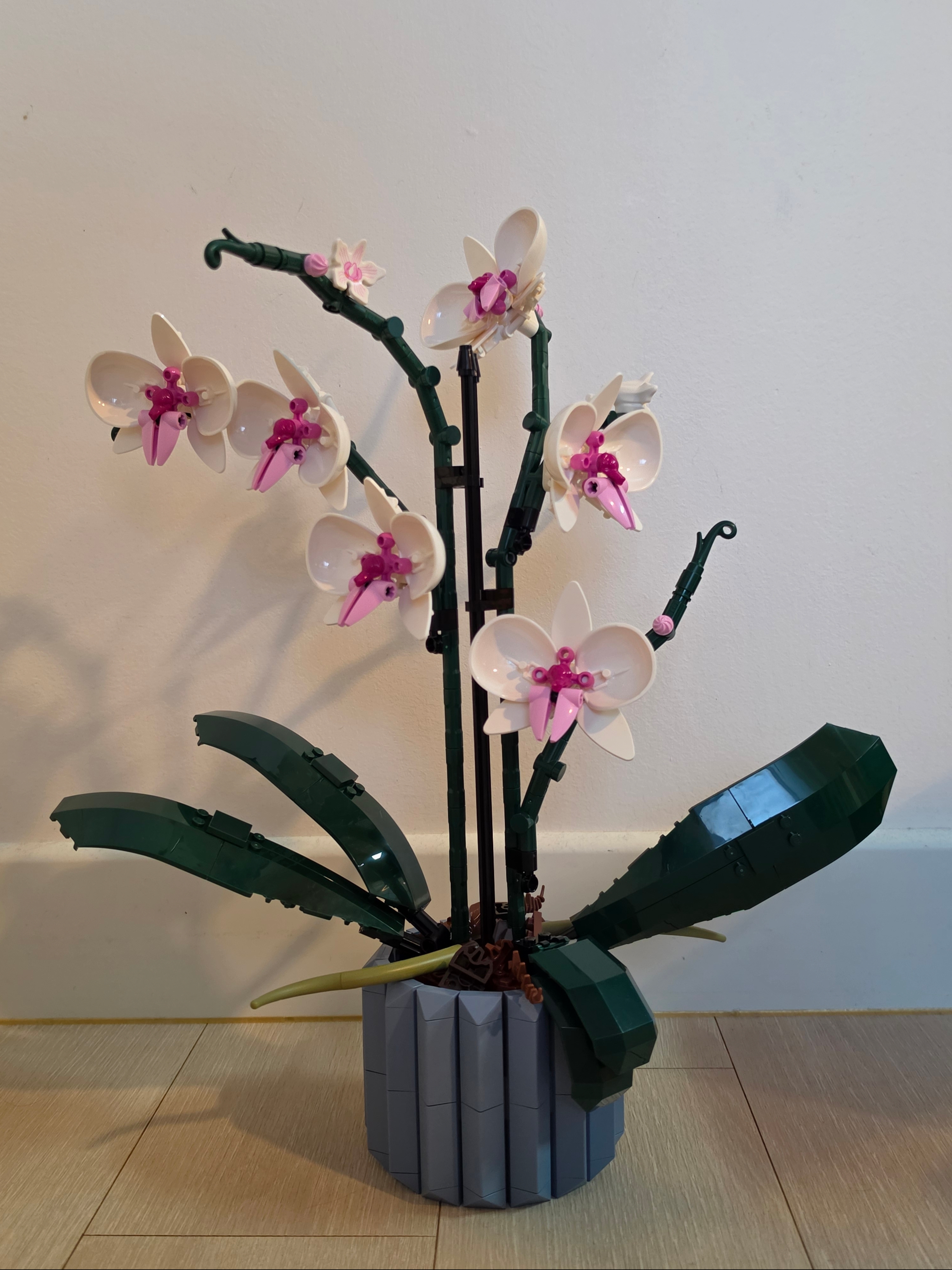 Lego Orchid 착용 스타일