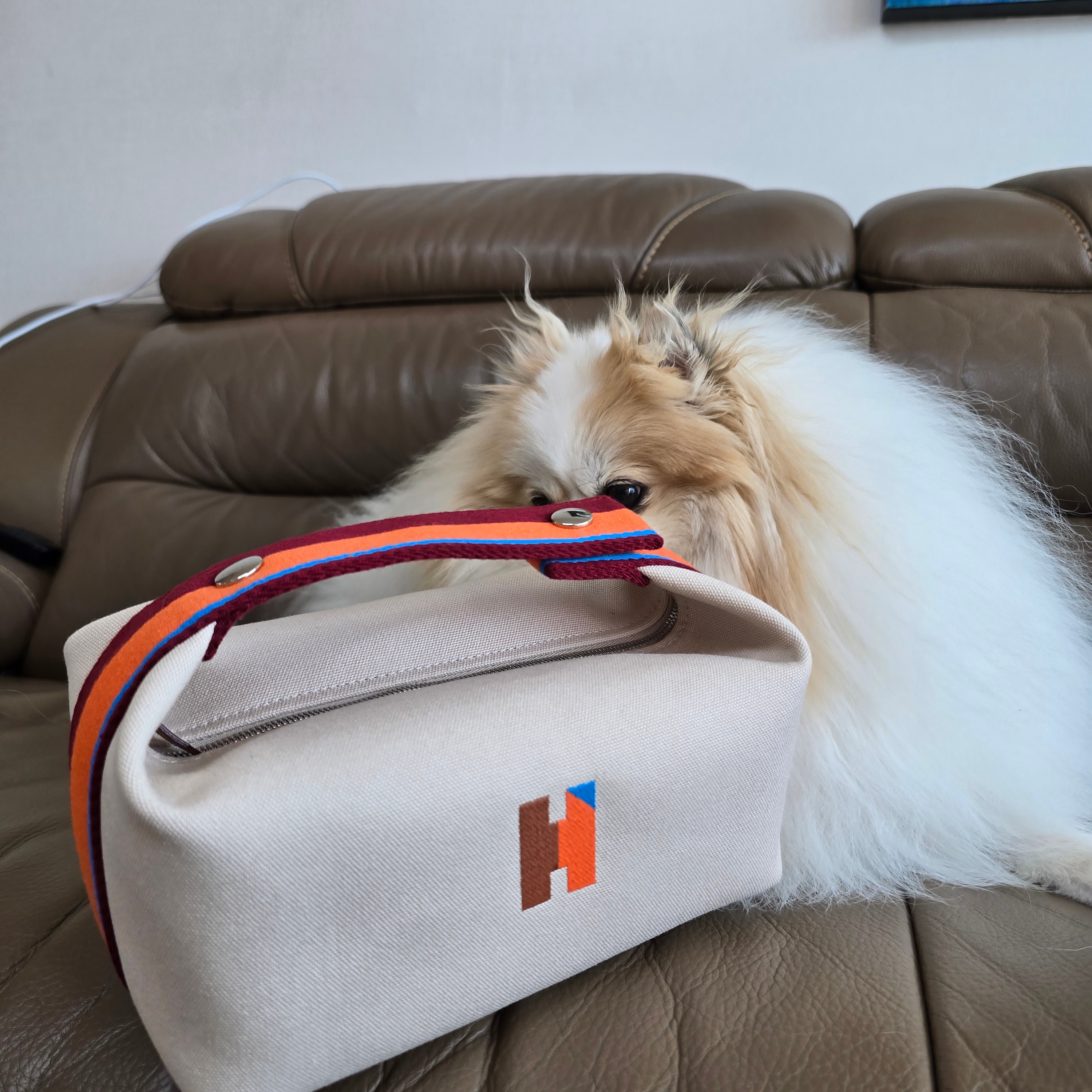 Hermes Small Bride-A-Brac H Pavillon case Canvas & Naturel 착용 스타일 - 1