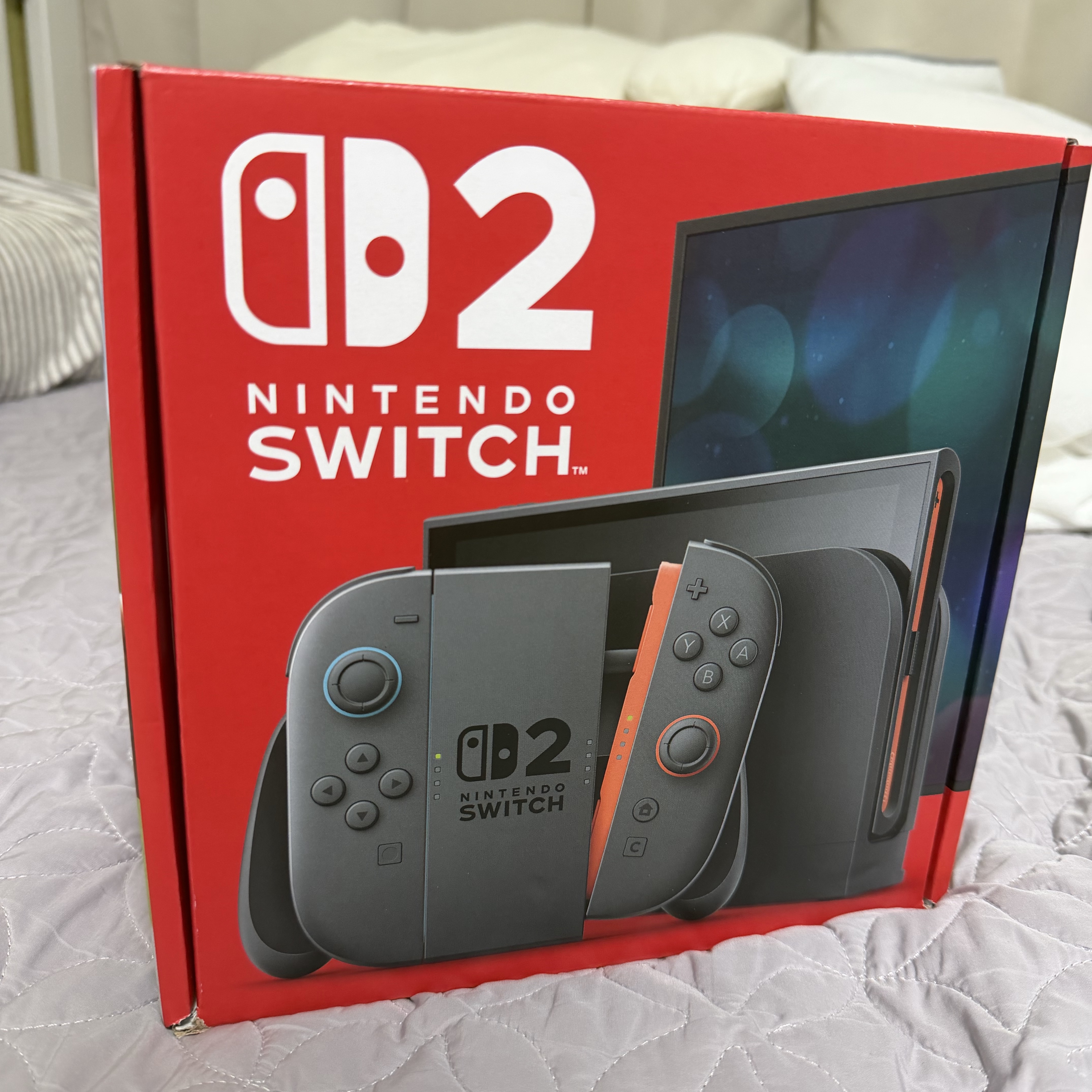 Nintendo Switch 2 Black (Korean Ver.) 착용 스타일