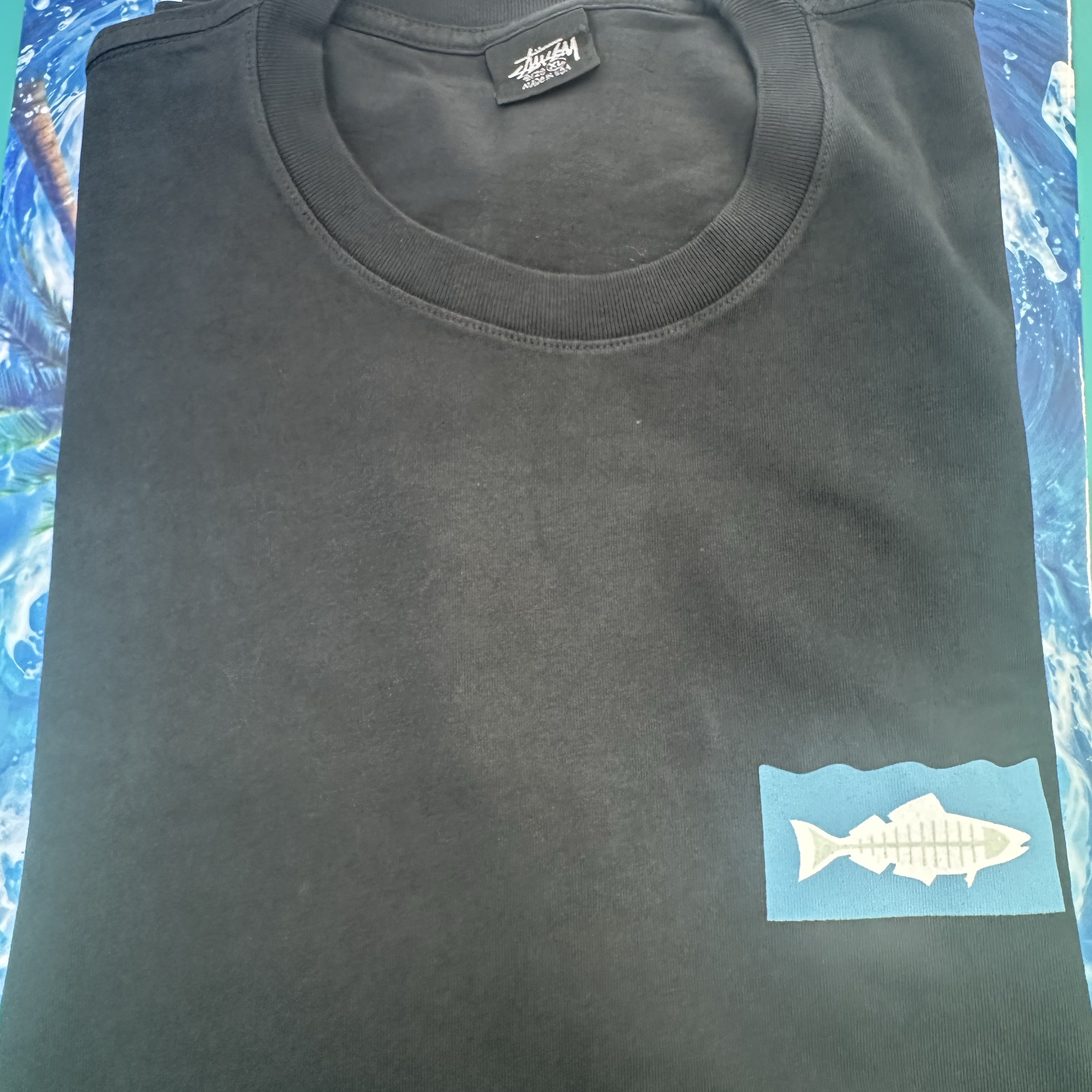 Stussy x Heal The Bay Ocean Pigment Dyed T-Shirt Black 착용 스타일 - 1
