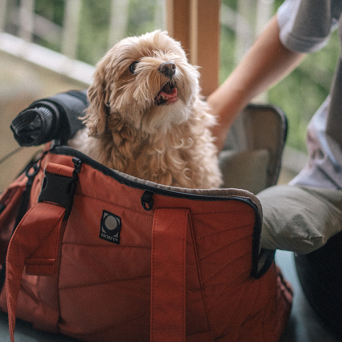 하웃 에어핏 퀼팅백 이동가방 사코슈 M 세트(HOUT Air-Fit Quilted Pet Carrier & Sacoche M Set) - 2