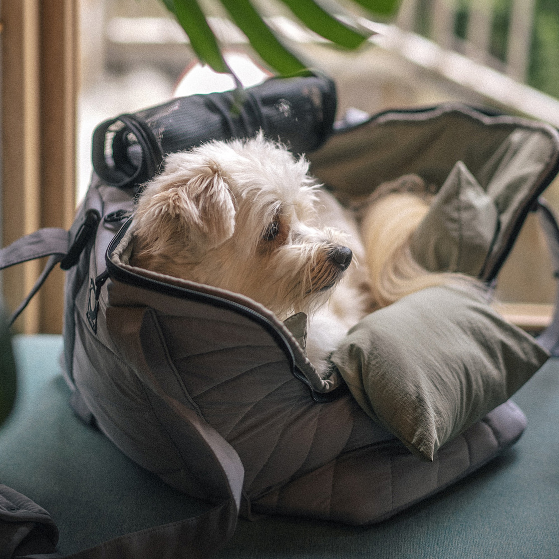 하웃 에어핏 퀼팅백 이동가방 사코슈 L 세트(HOUT Air-Fit Quilted Pet Carrier & Sacoche L Set) - 2