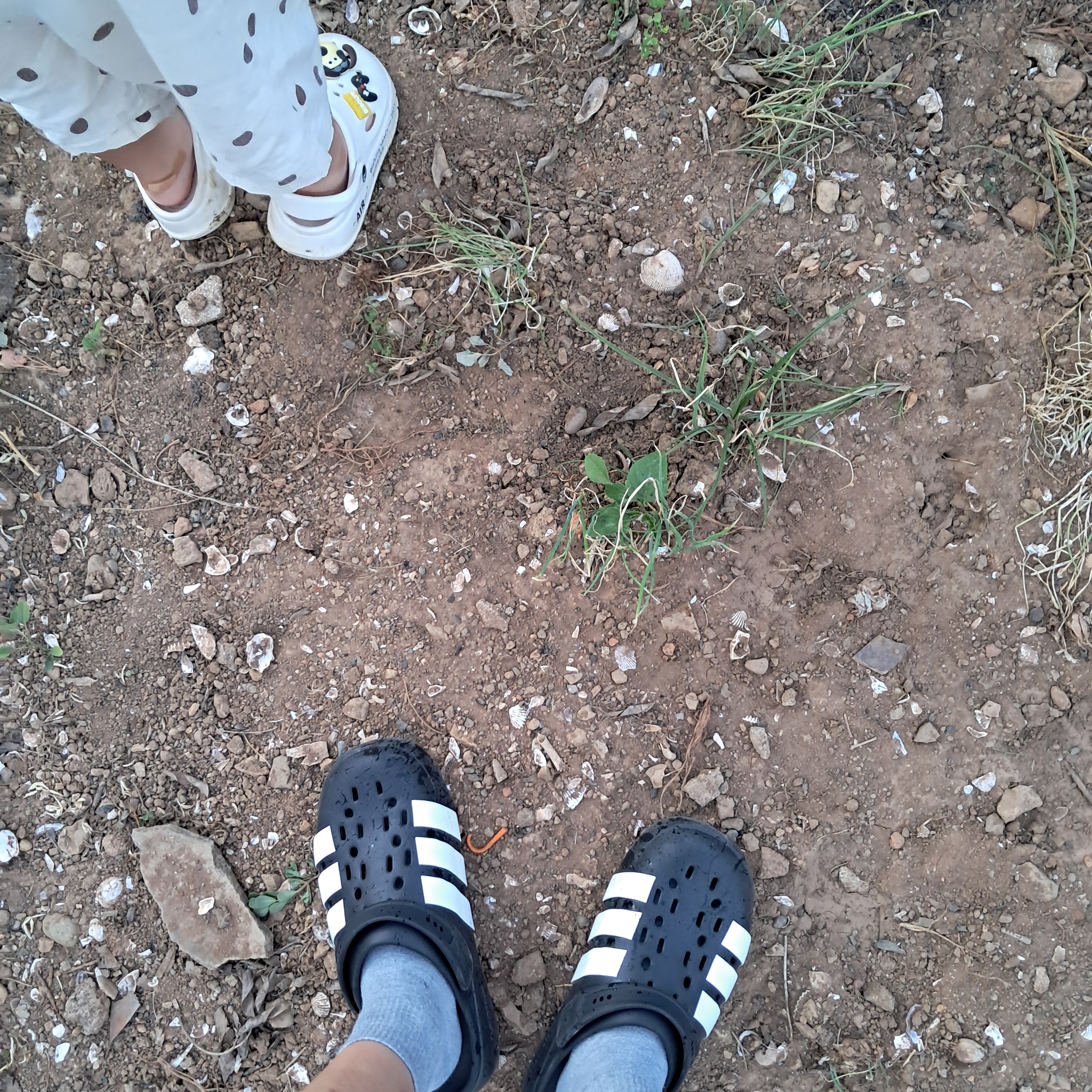 Adidas Adilette Clog 2.0 Core Black Cloude White 착용 스타일 - 2