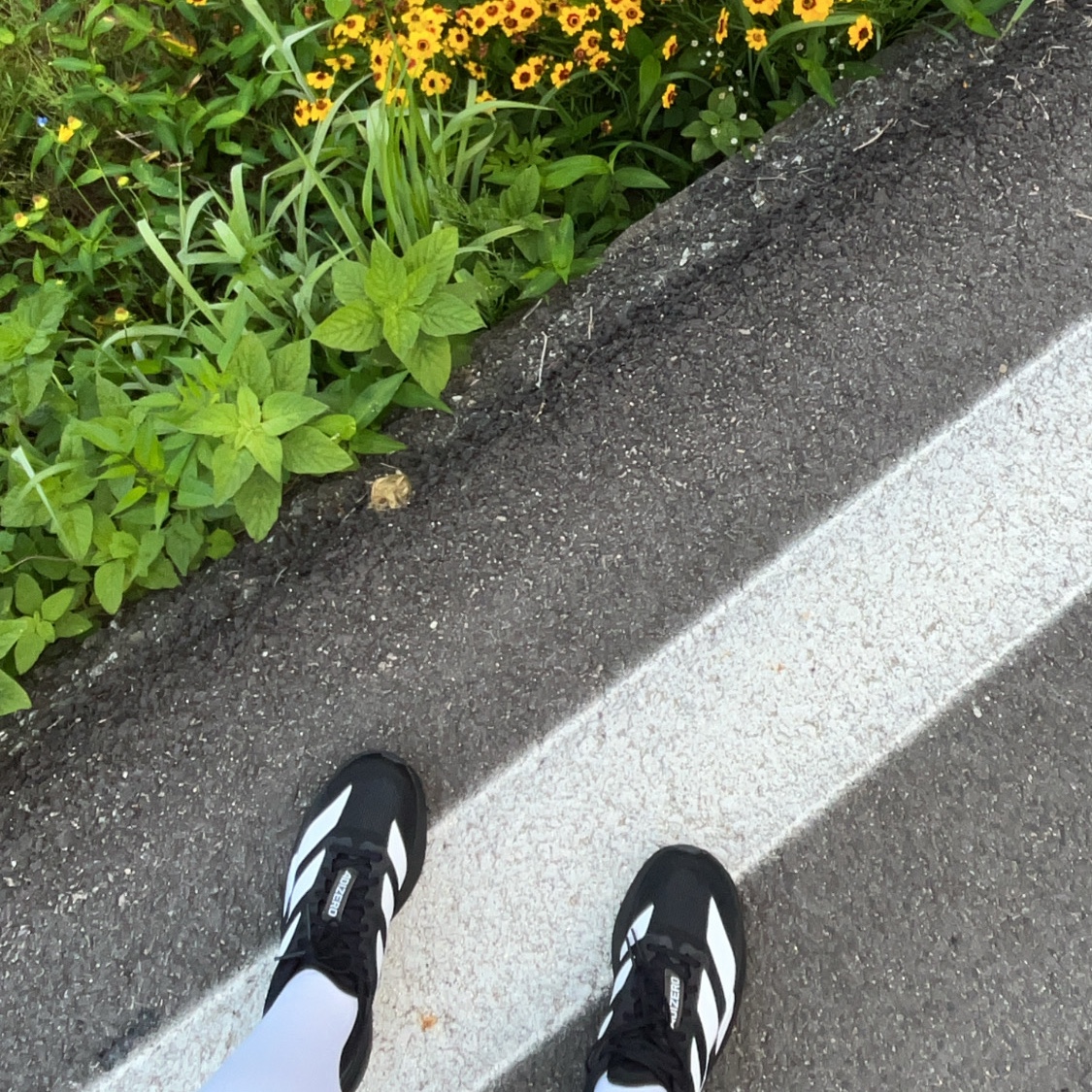 (J) Adidas Adizero EVO SL Core Black Cloud White 착용 스타일 - 1