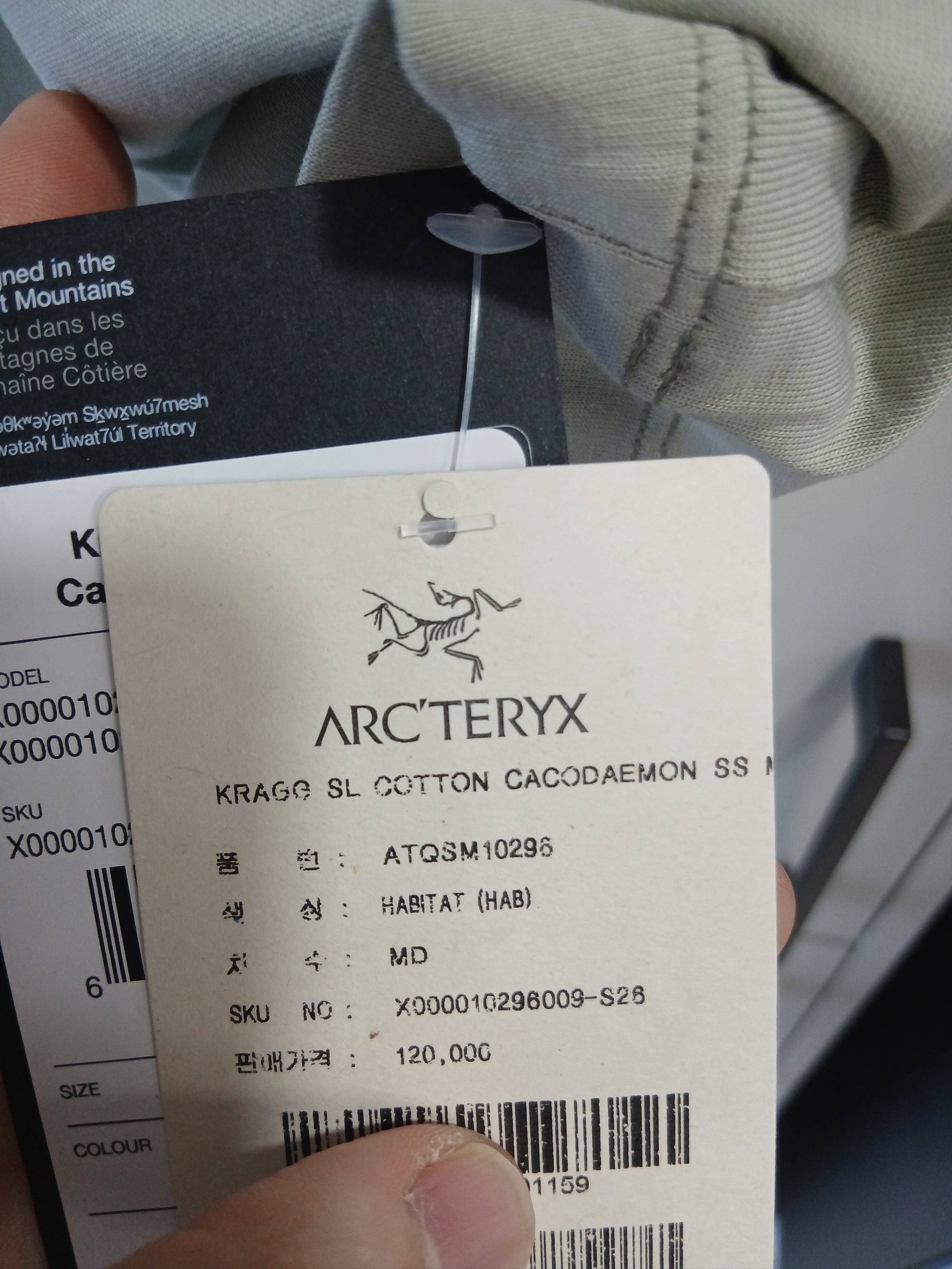 Arc'teryx Kragg SL Cotton Cacodaemon Shirt SS Habitat Sea Salt, Arc'teryx Kragg SL Cotton Cacodaemon SS T-Shirt Habitat 착용 스타일 - 5