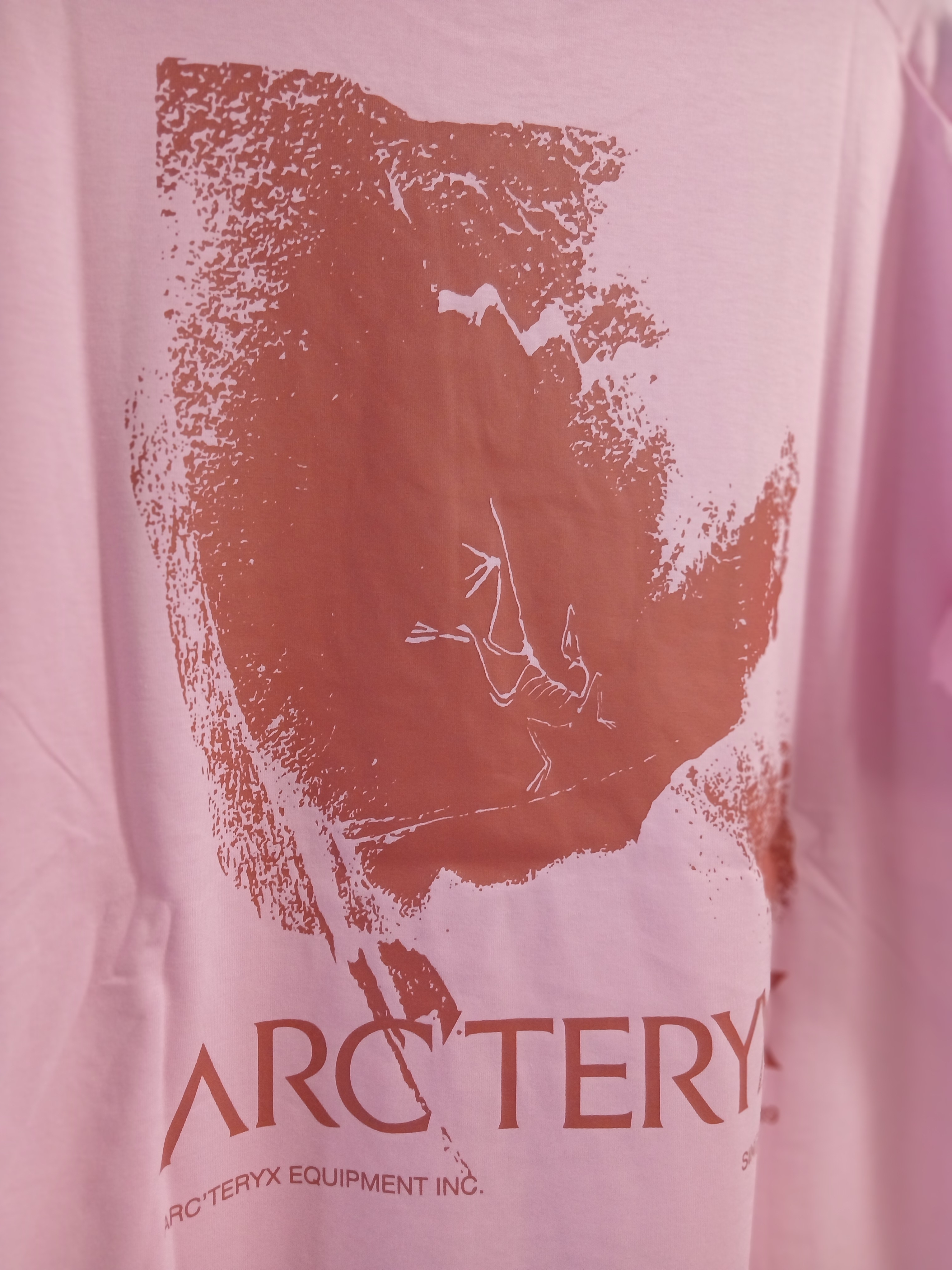 Arc'teryx Kragg SL Cotton Cacodaemon SS T-Shirt Pineberry Stone Red 착용 스타일 - 2