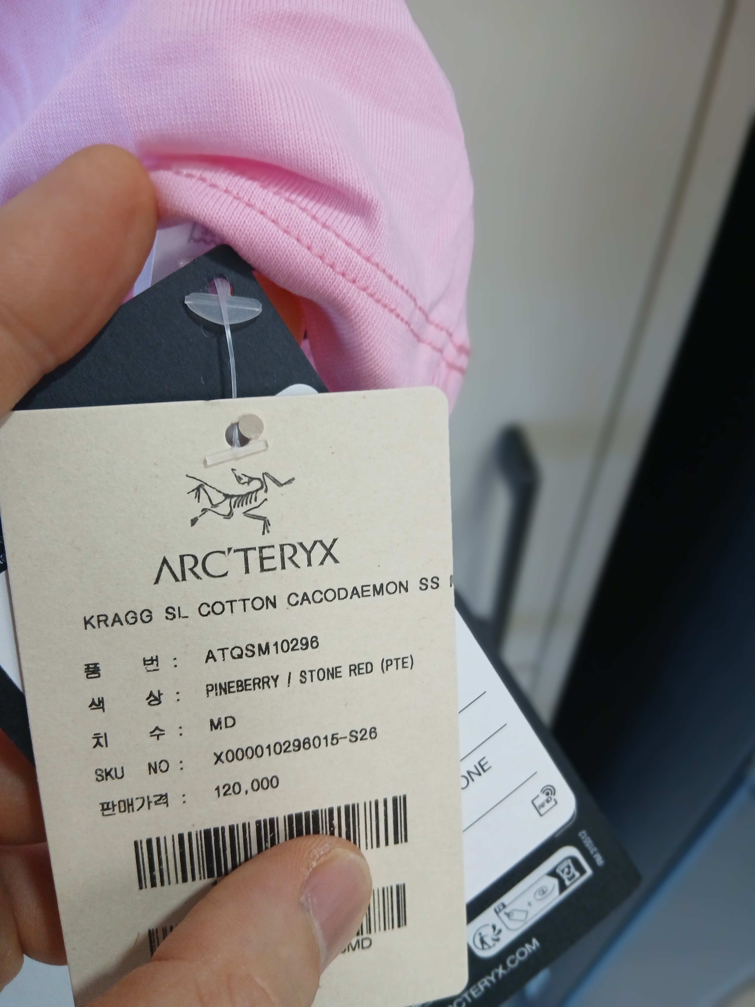 Arc'teryx Kragg SL Cotton Cacodaemon SS T-Shirt Pineberry Stone Red 착용 스타일 - 5