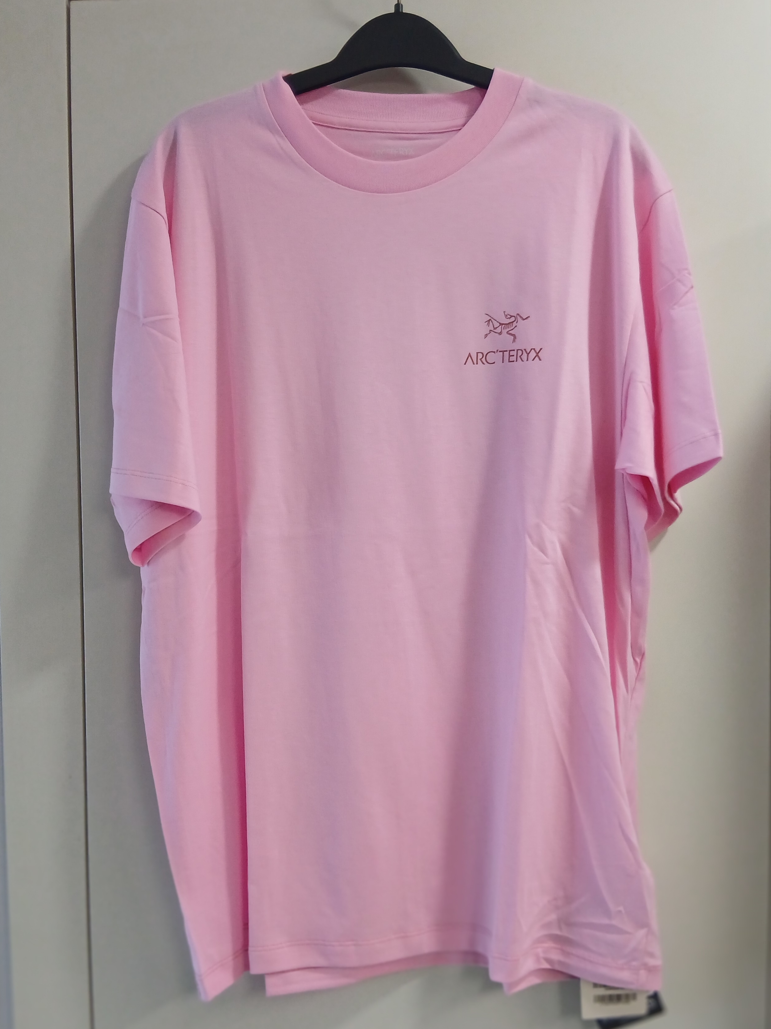 Arc'teryx Kragg SL Cotton Cacodaemon SS T-Shirt Pineberry Stone Red 착용 스타일 - 3