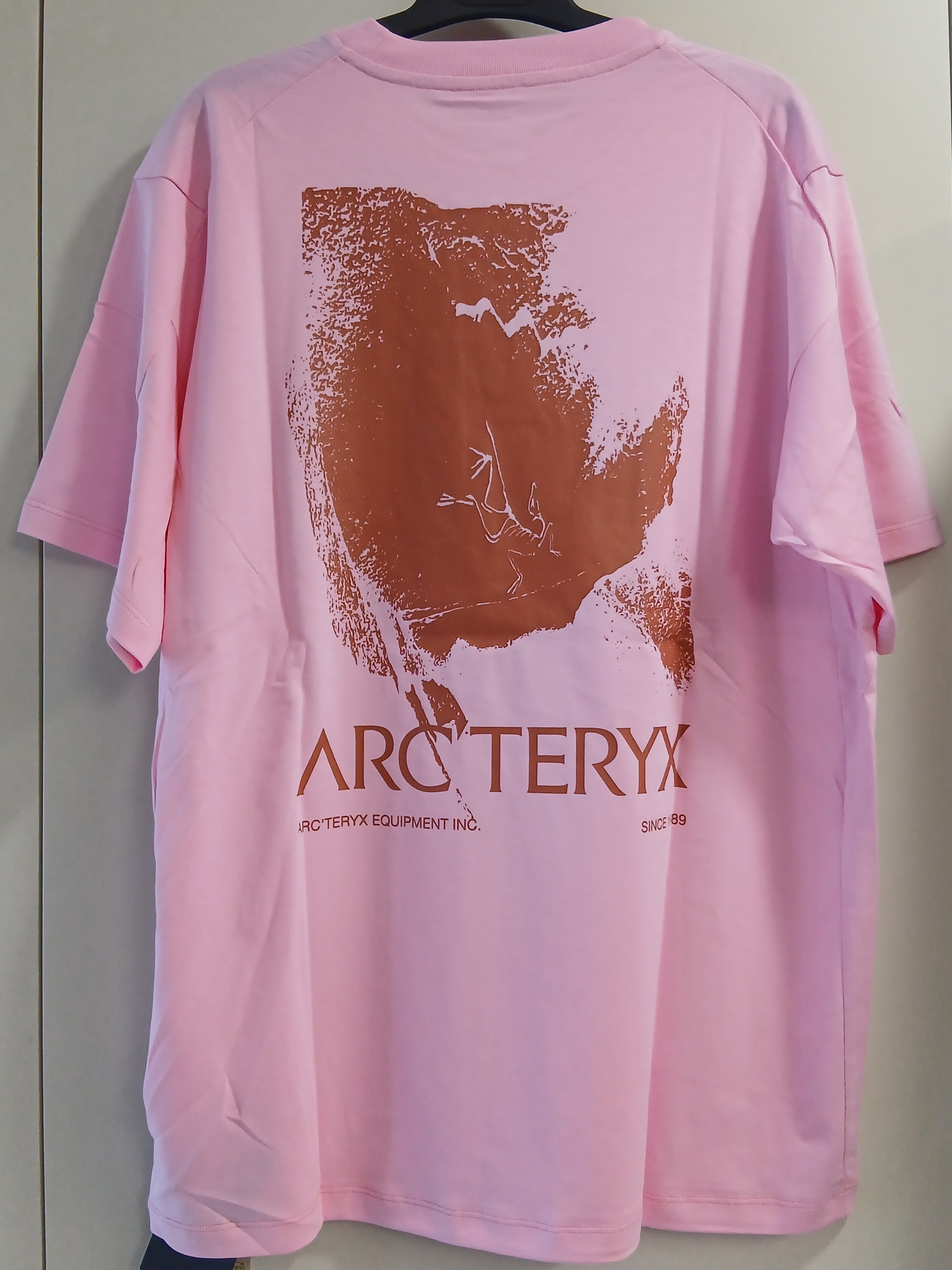 Arc'teryx Kragg SL Cotton Cacodaemon SS T-Shirt Pineberry Stone Red 착용 스타일 - 1