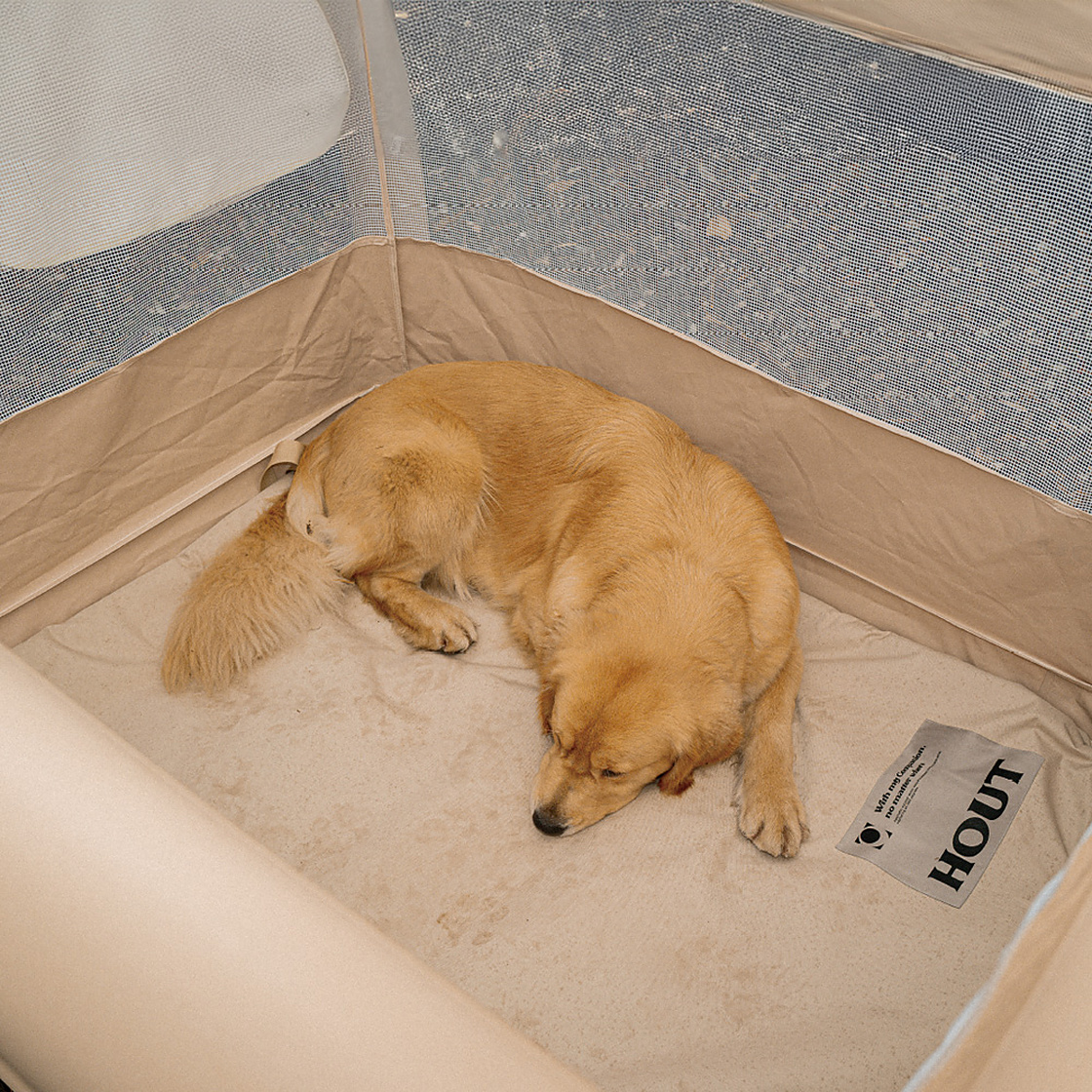 하웃 클라우드 에어펫 룸 메모리폼(HOUT Cloud air pet room Memory Foam) - 2