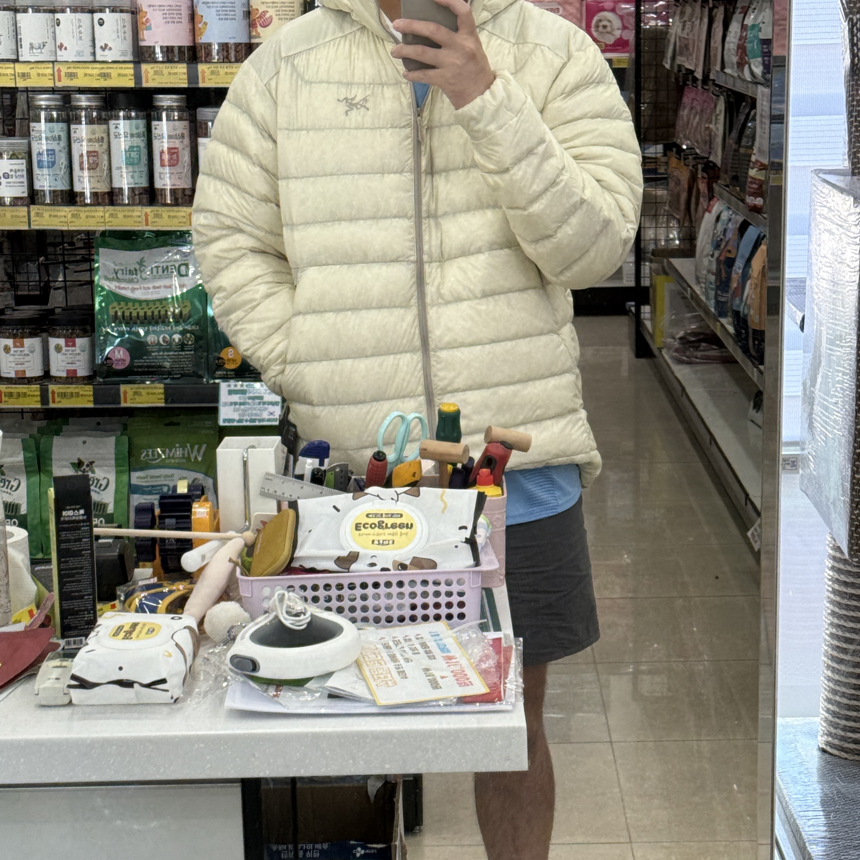 Arc'teryx Cerium Hoody Sea Salt 착용 스타일