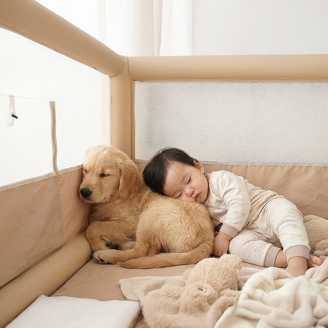 하웃 클라우드 에어펫룸(HOUT Cloud air pet room) - 4