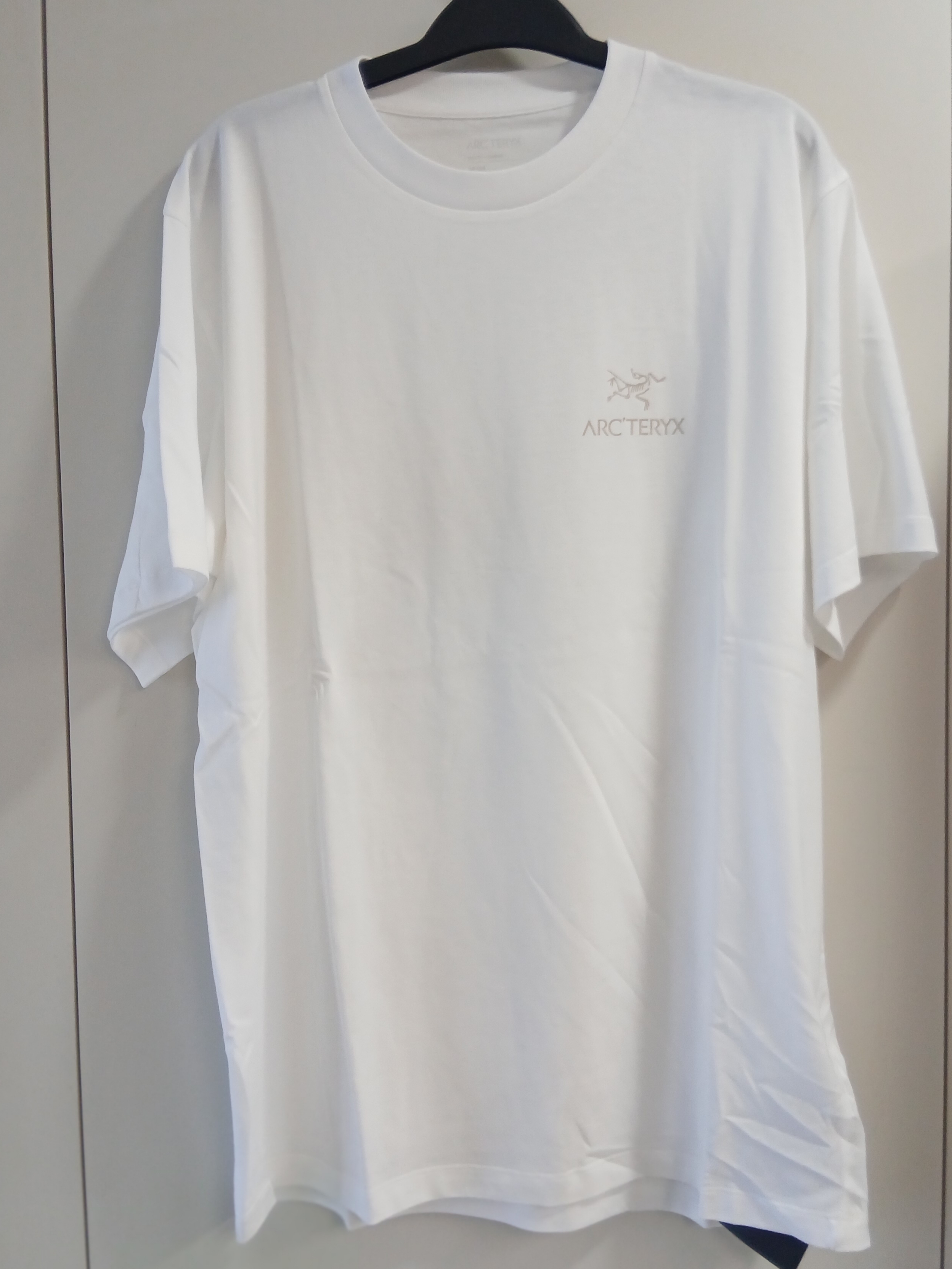 Arc'teryx Kragg SL Cotton Cacodaemon SS T-Shirt White Light Sea Salt 착용 스타일 - 2