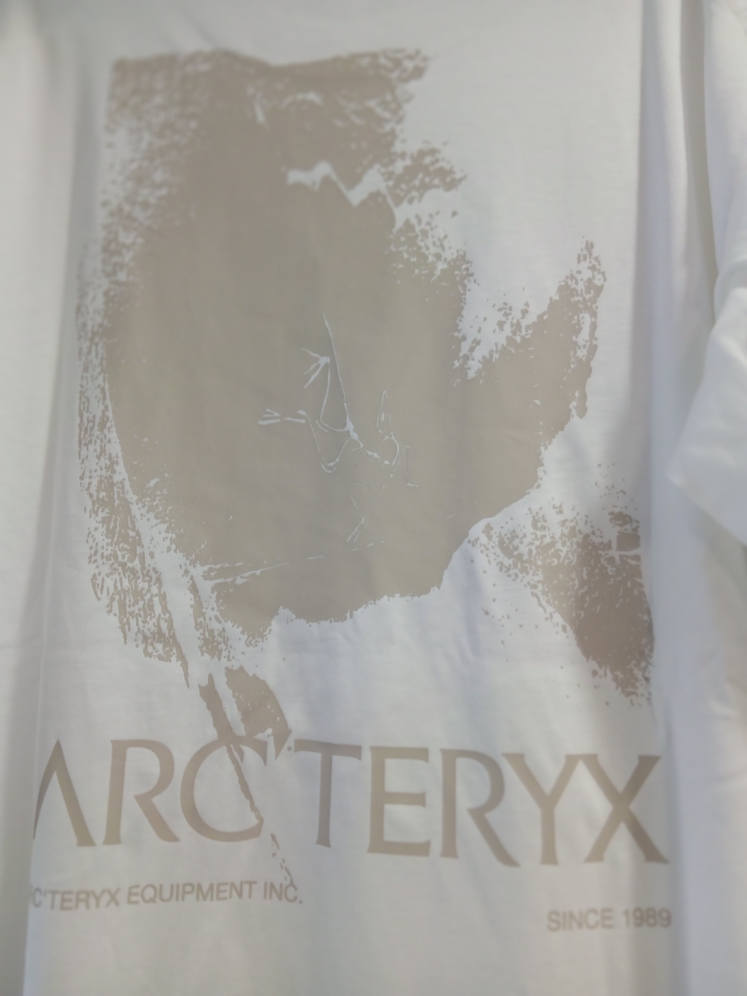 Arc'teryx Kragg SL Cotton Cacodaemon SS T-Shirt White Light Sea Salt 착용 스타일 - 4