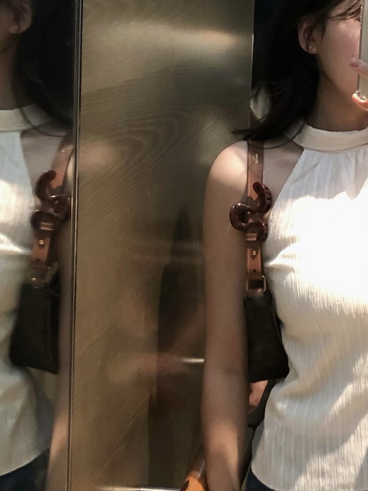 Celine Ava Bag in Triomphe Canvas and Calfskin Tan, Celine Medium Ava Triomphe Bag in Triomphe Canvas Calfskin Tan 착용 스타일