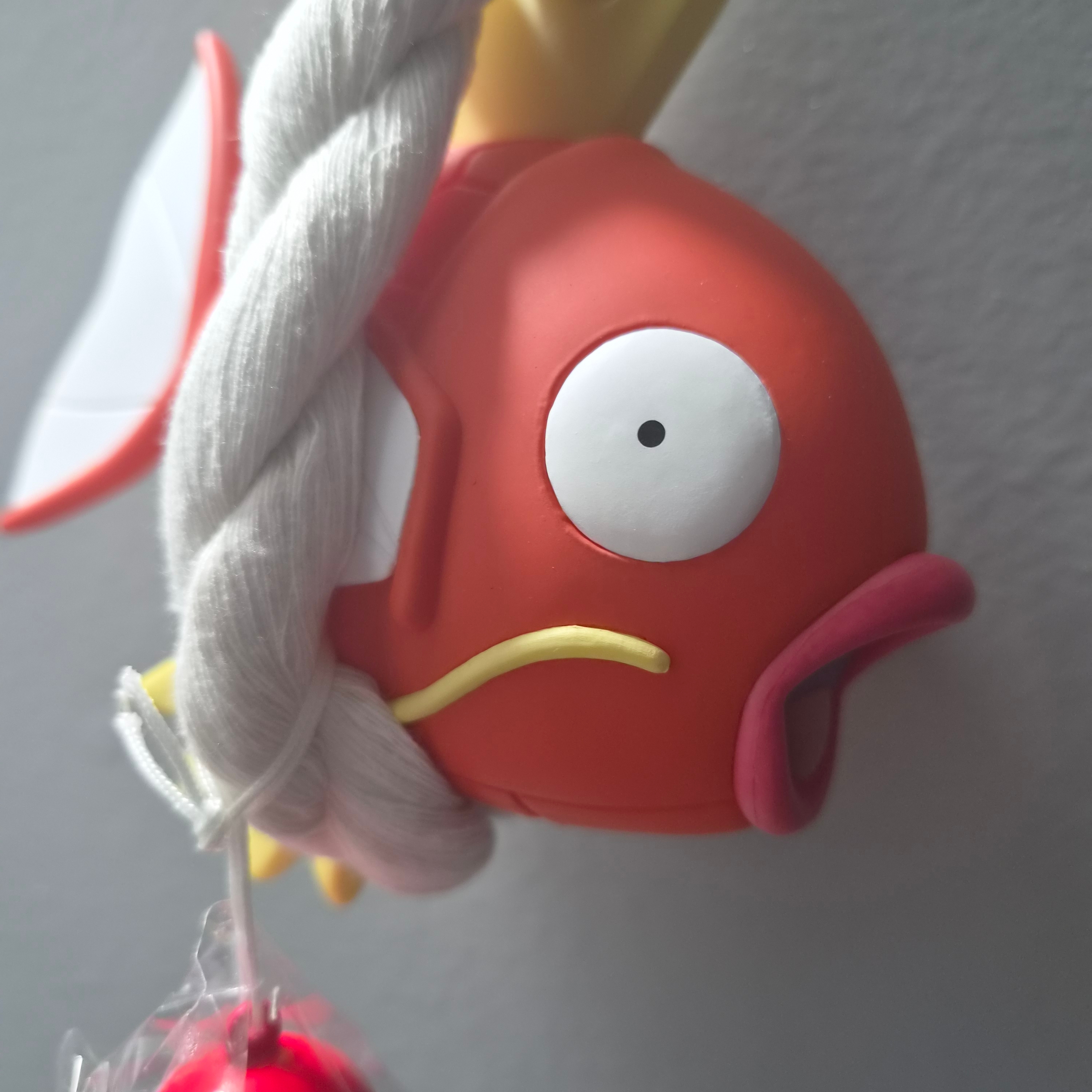 Animore POKEMON magikarp view 착용 스타일