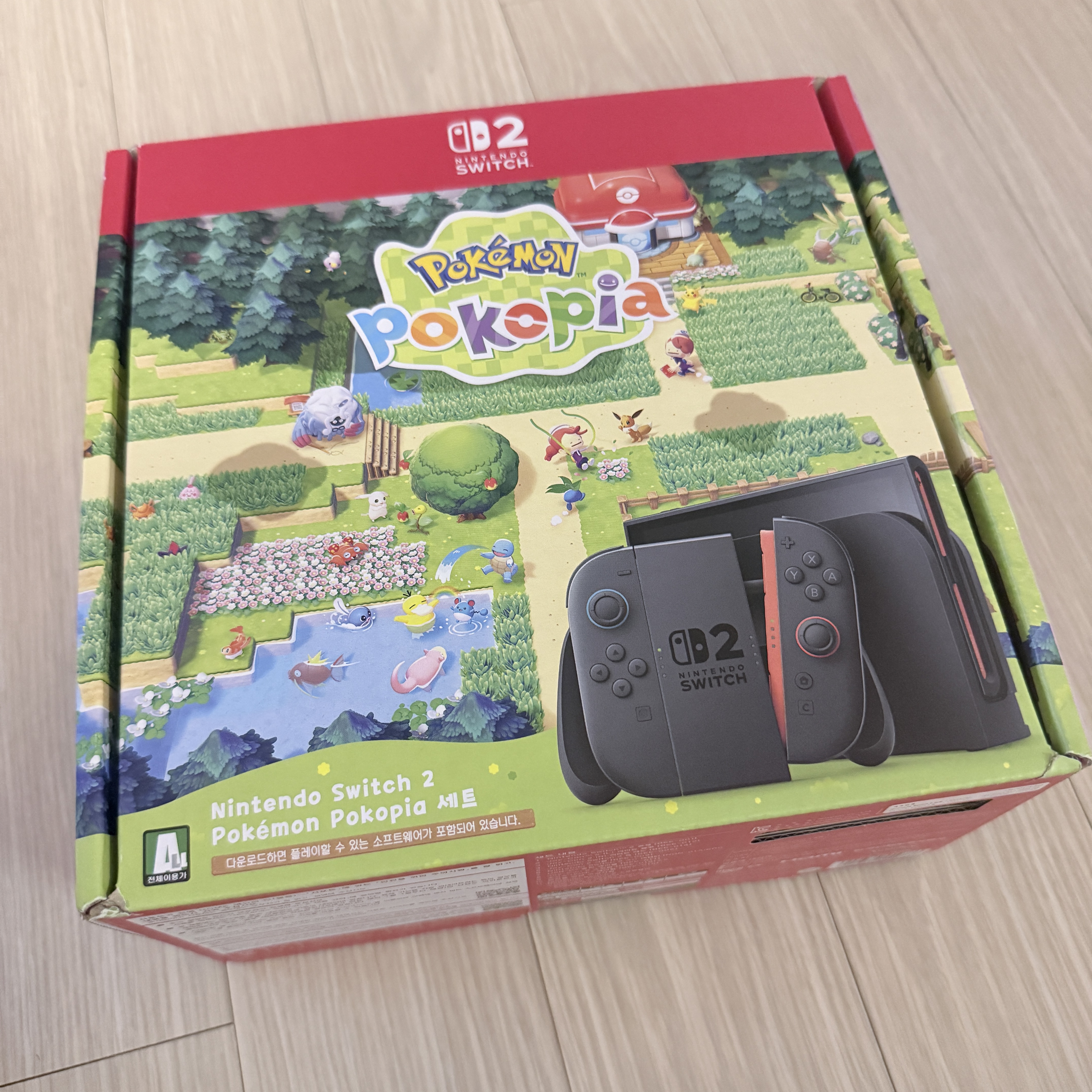 Nintendo Switch 2 Pokemon Pokopia Set (With Software/Korean Ver.) 착용 스타일
