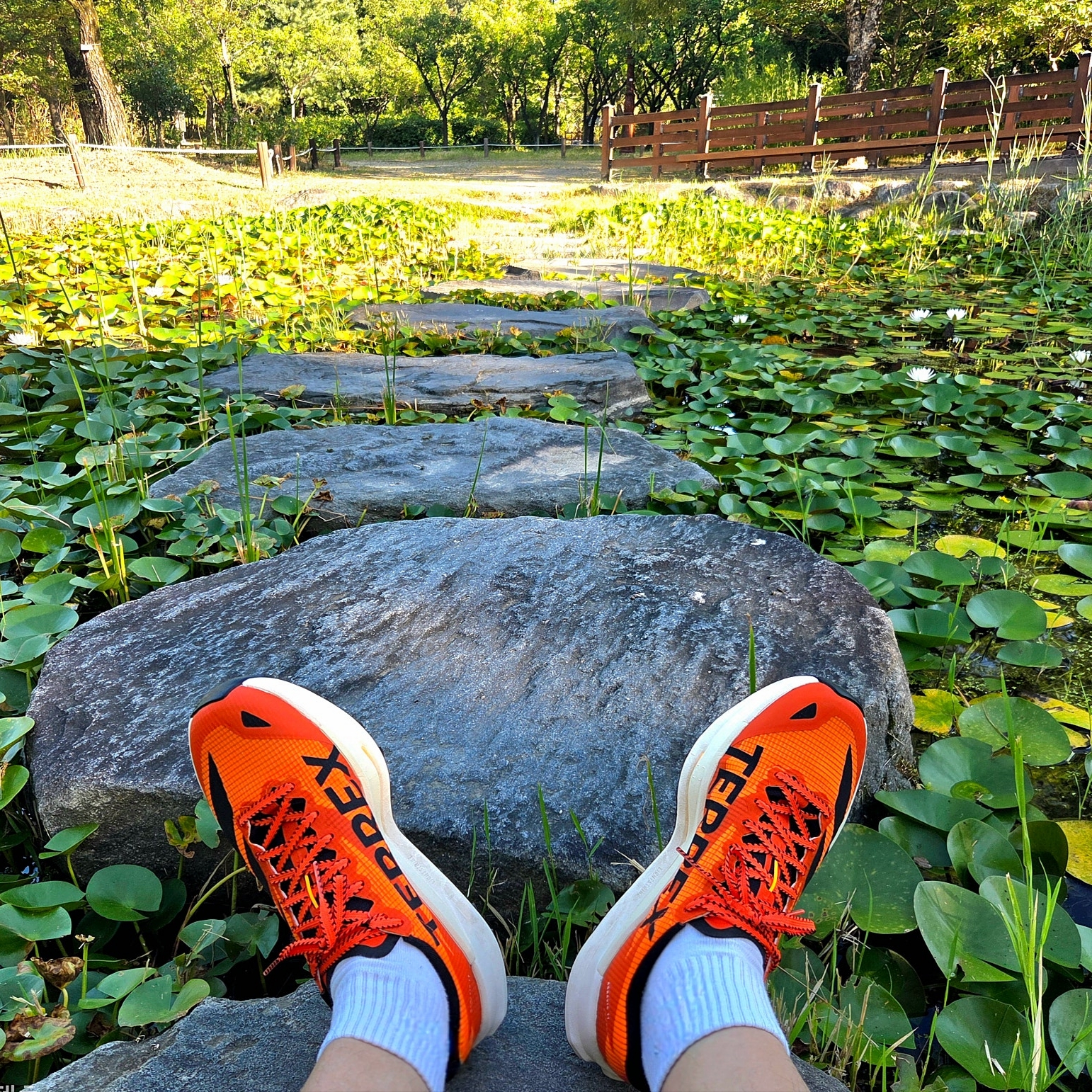 Adidas Terrex Agravic Speed 2 Trail Semi Impact Orange Core Black 착용 스타일