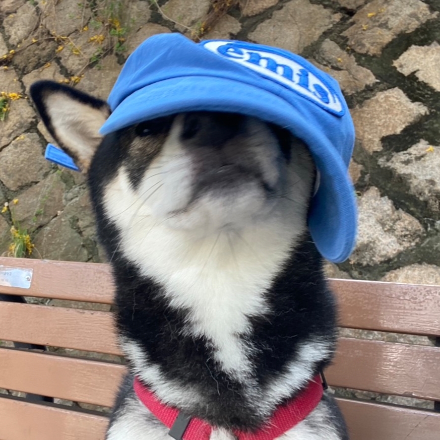 Emis Tone On Tone Wappen Ball Cap Blue 착용 스타일