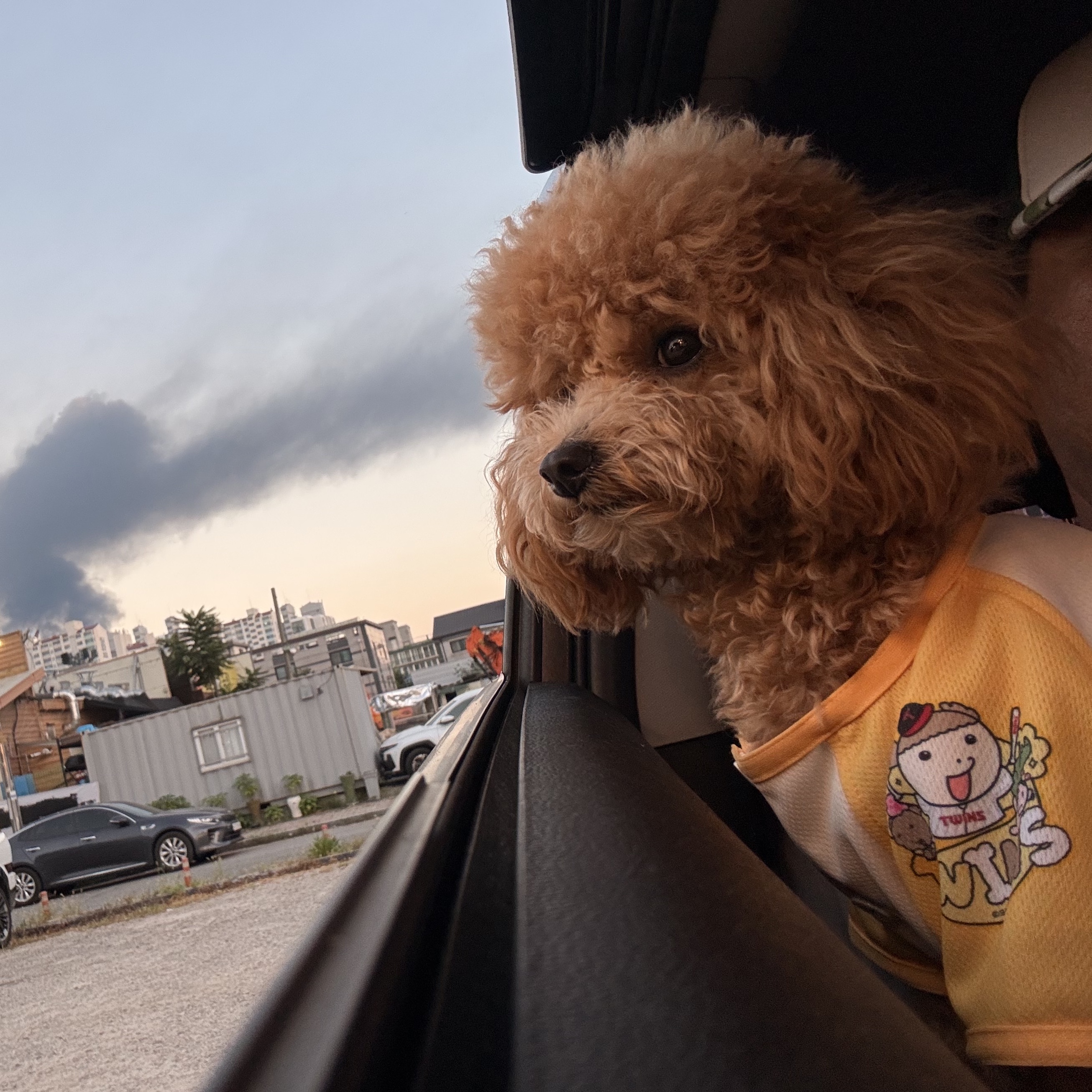 LG Twins x Maru is a Puppy Pet Uniform Yellow (Non Marking Ver.) 착용 스타일 - 1