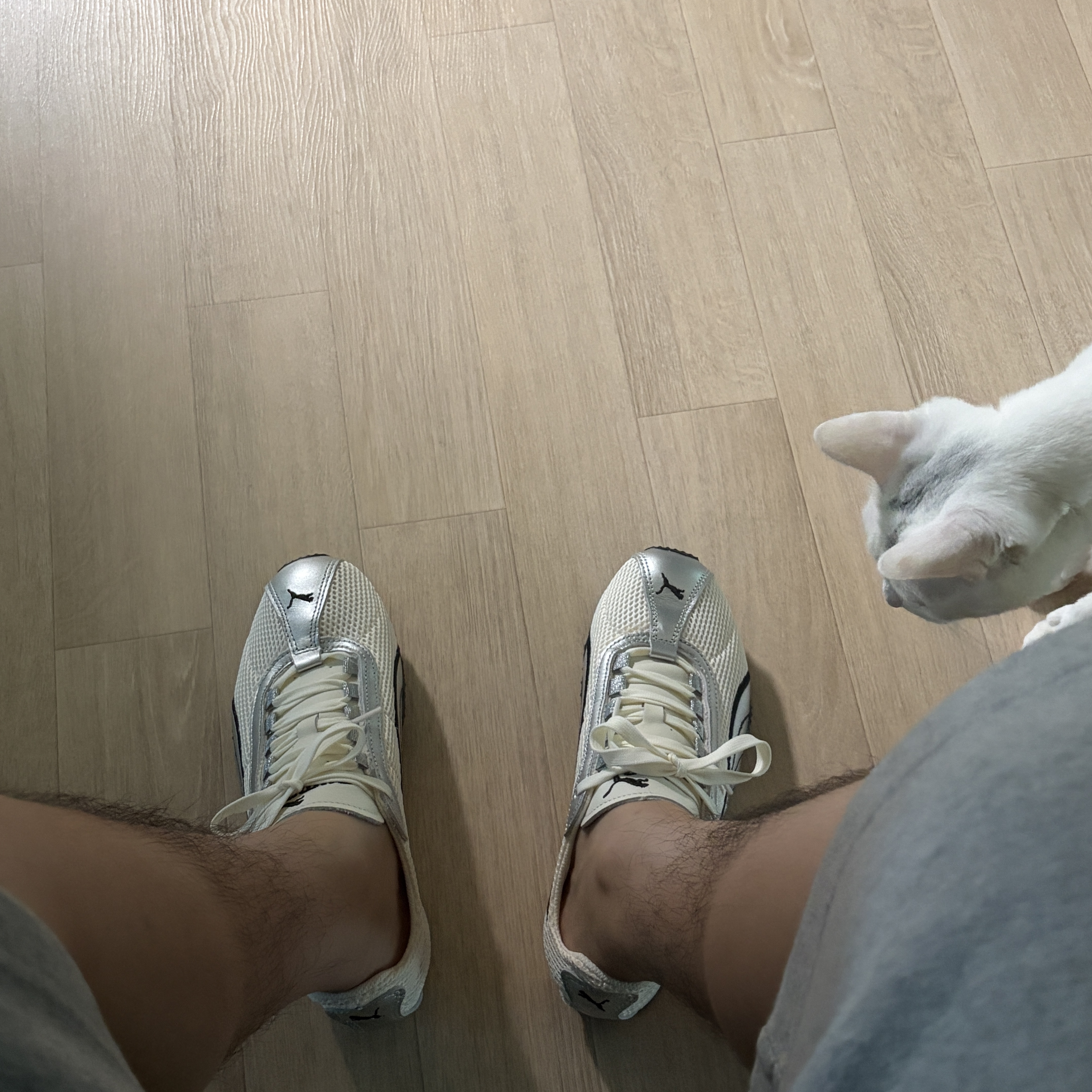 Puma H-street OG Ivory Silver 착용 스타일 - 2