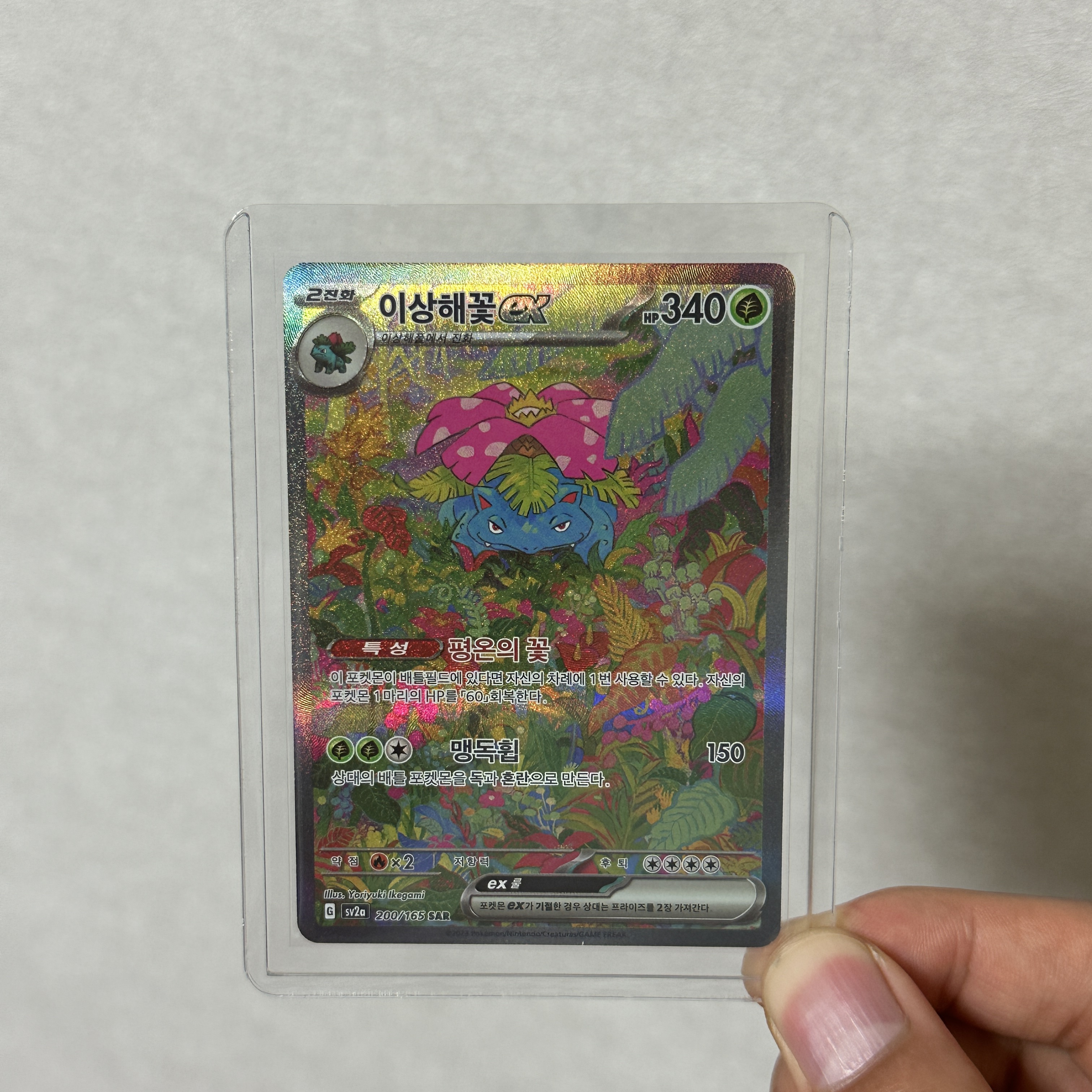 Pokemon TCG Venusaur ex SAR Pokemon Card 151 (Japanese Ver.), Pokemon TCG Venusaur ex SAR Pokemon Card 151 (Korean Ver.) 착용 스타일