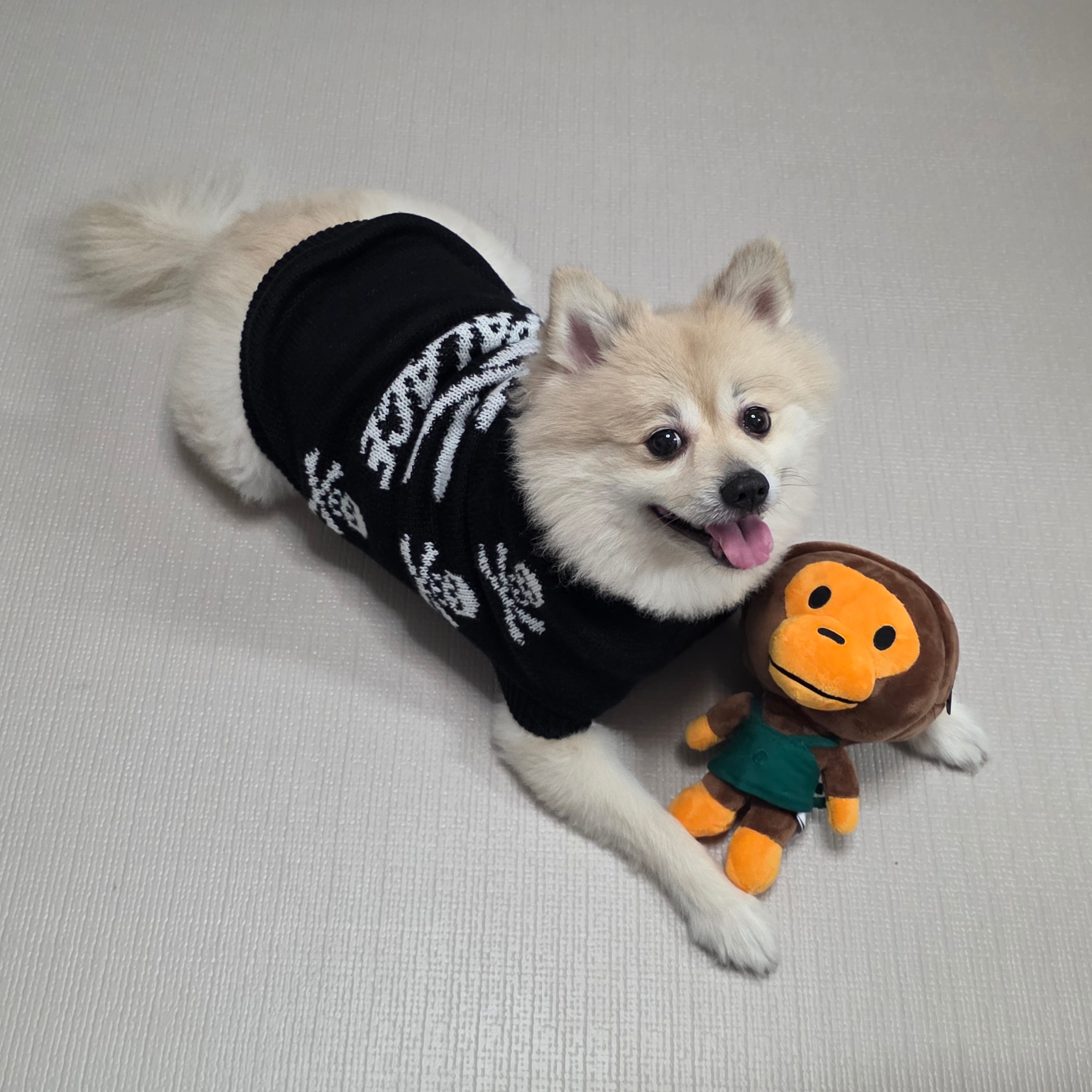 Palace Pirate Dog Jumper Black - 26FW 착용 스타일 - 1