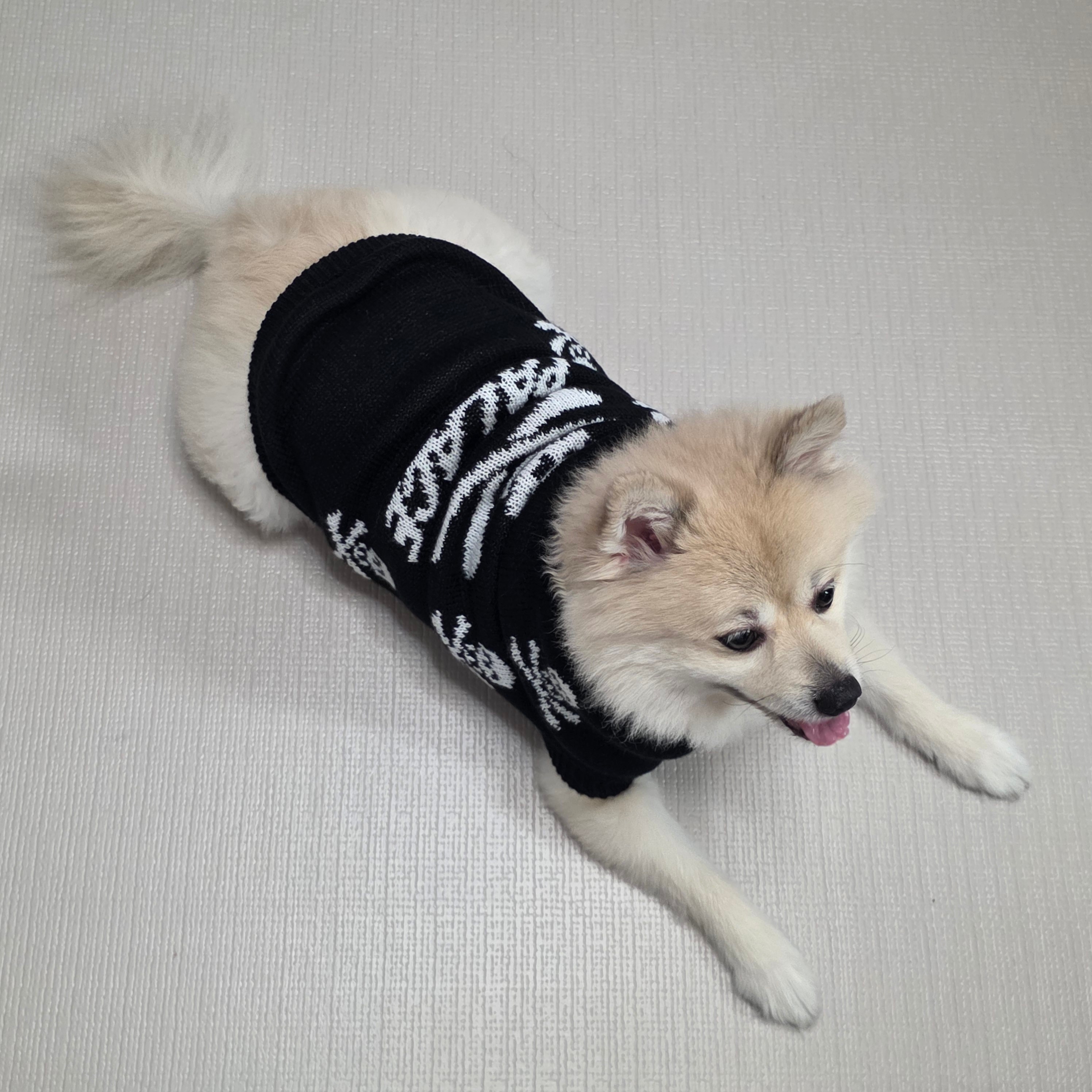 Palace Pirate Dog Jumper Black - 26FW 착용 스타일 - 3