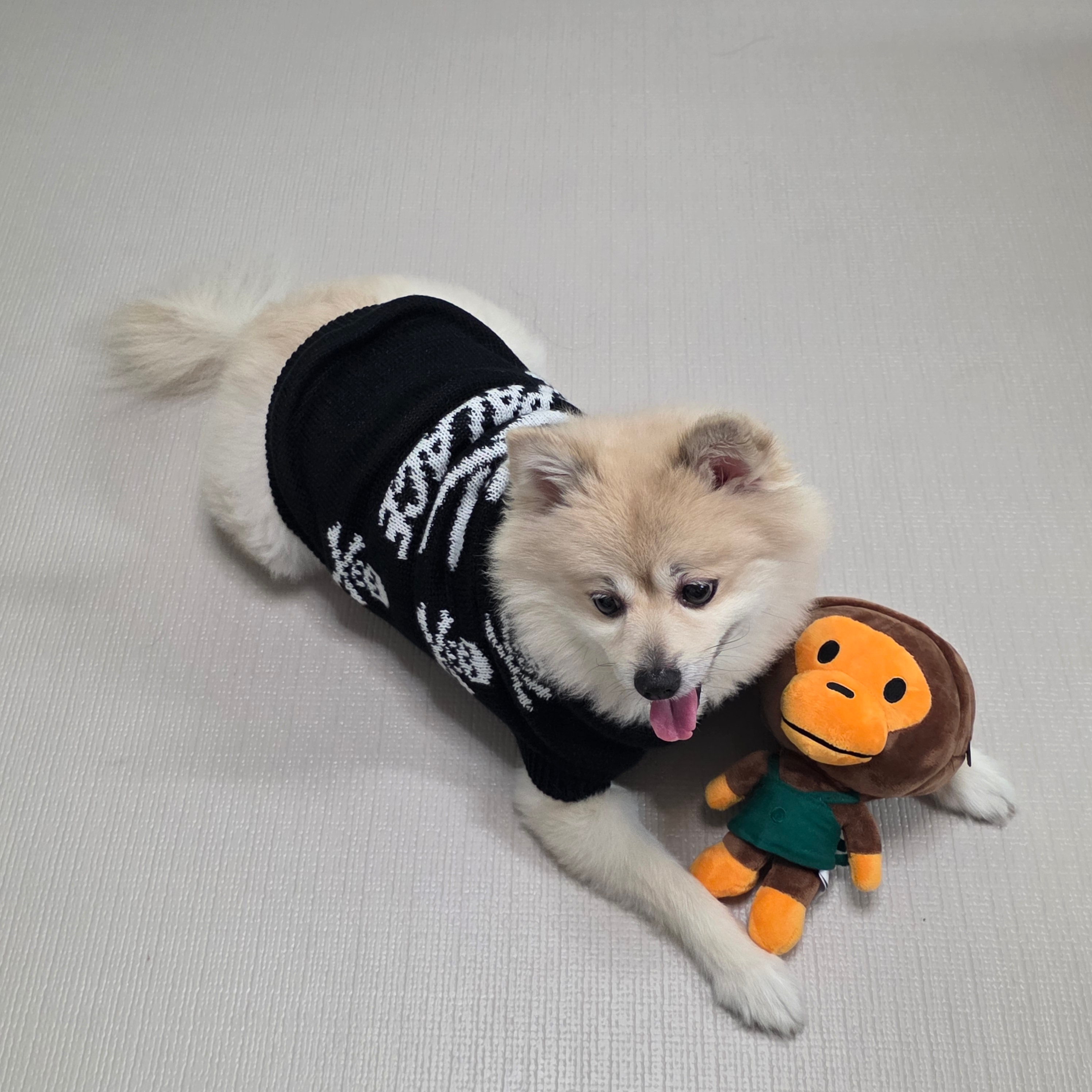 Palace Pirate Dog Jumper Black - 26FW 착용 스타일 - 2
