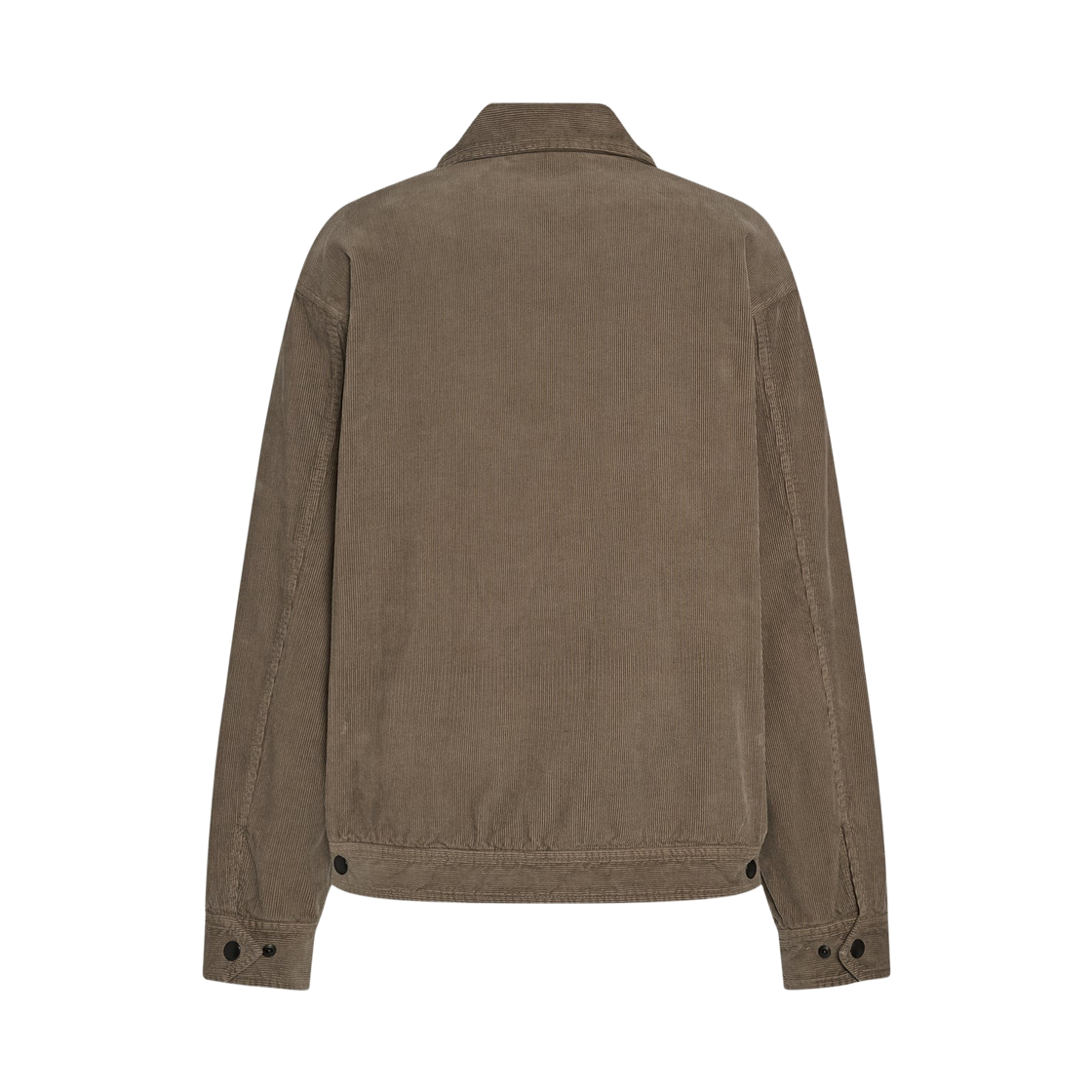 더 로우 노구 코튼 자켓 라이트 세피아(The Row Noggu Cotton Jacket Light Sepia) - 2