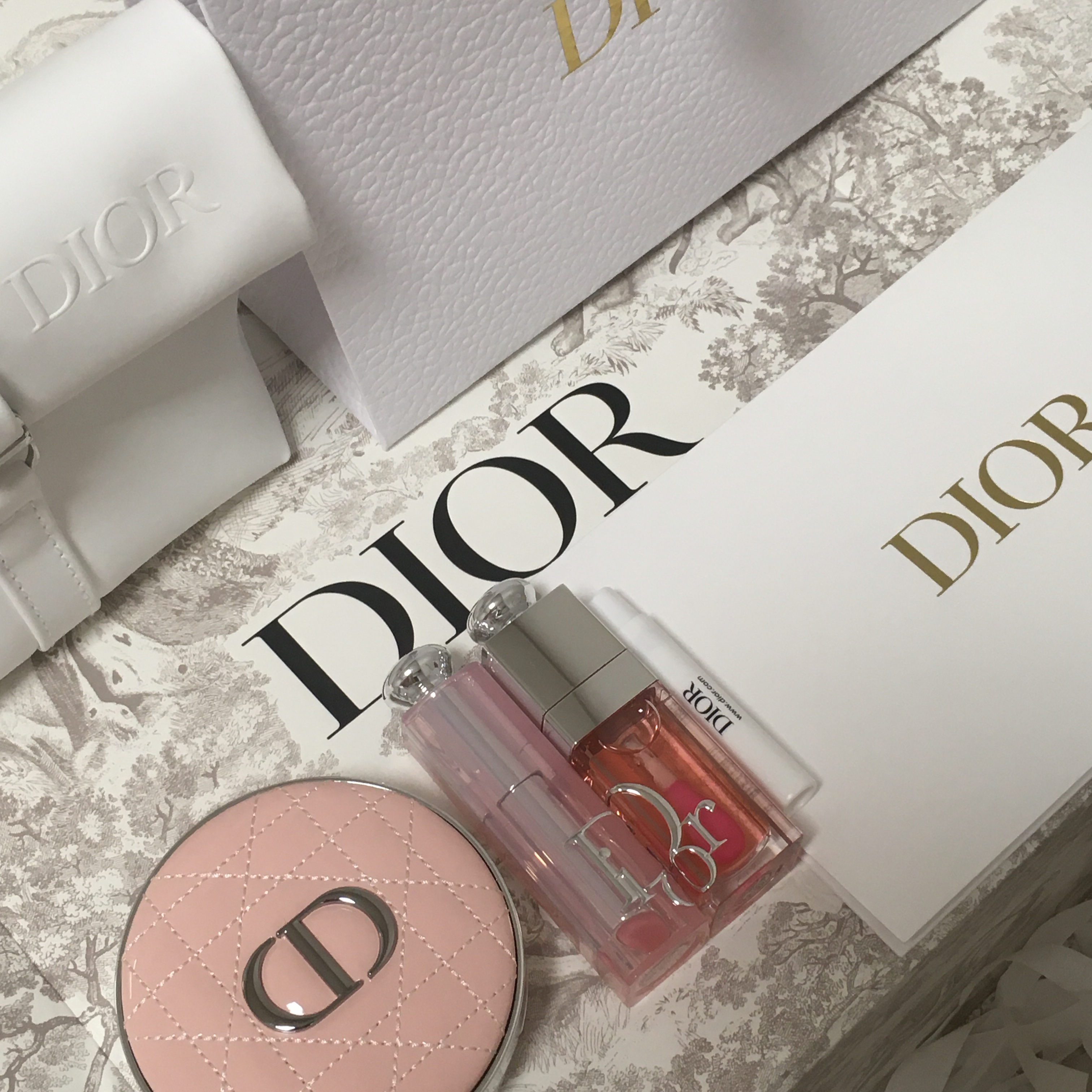 Dior Forever Cushion Case Pink Vinyl Cannage, Dior Addict Lip Glow 001 Pink 착용 스타일