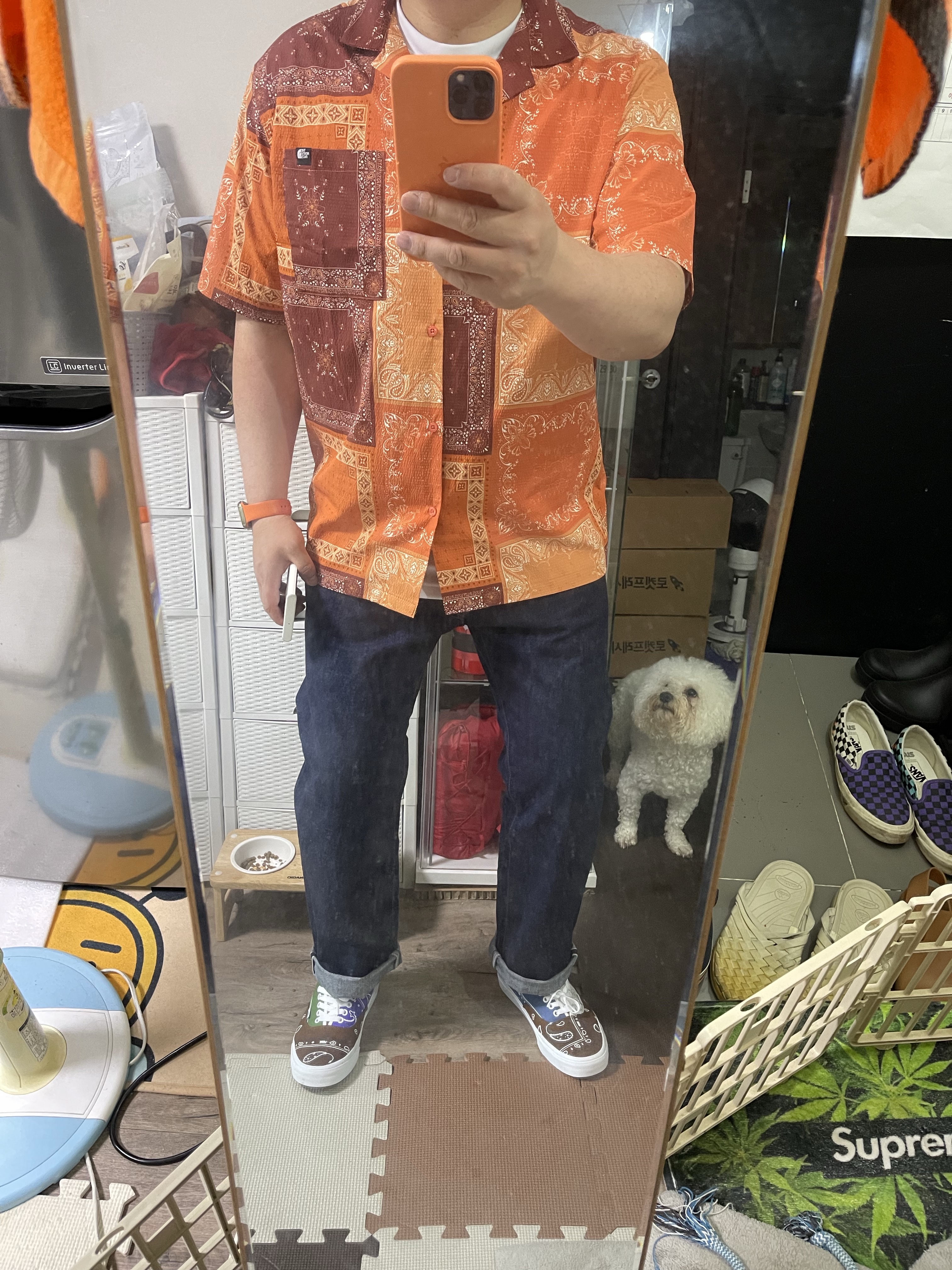 너구리님의 스타일