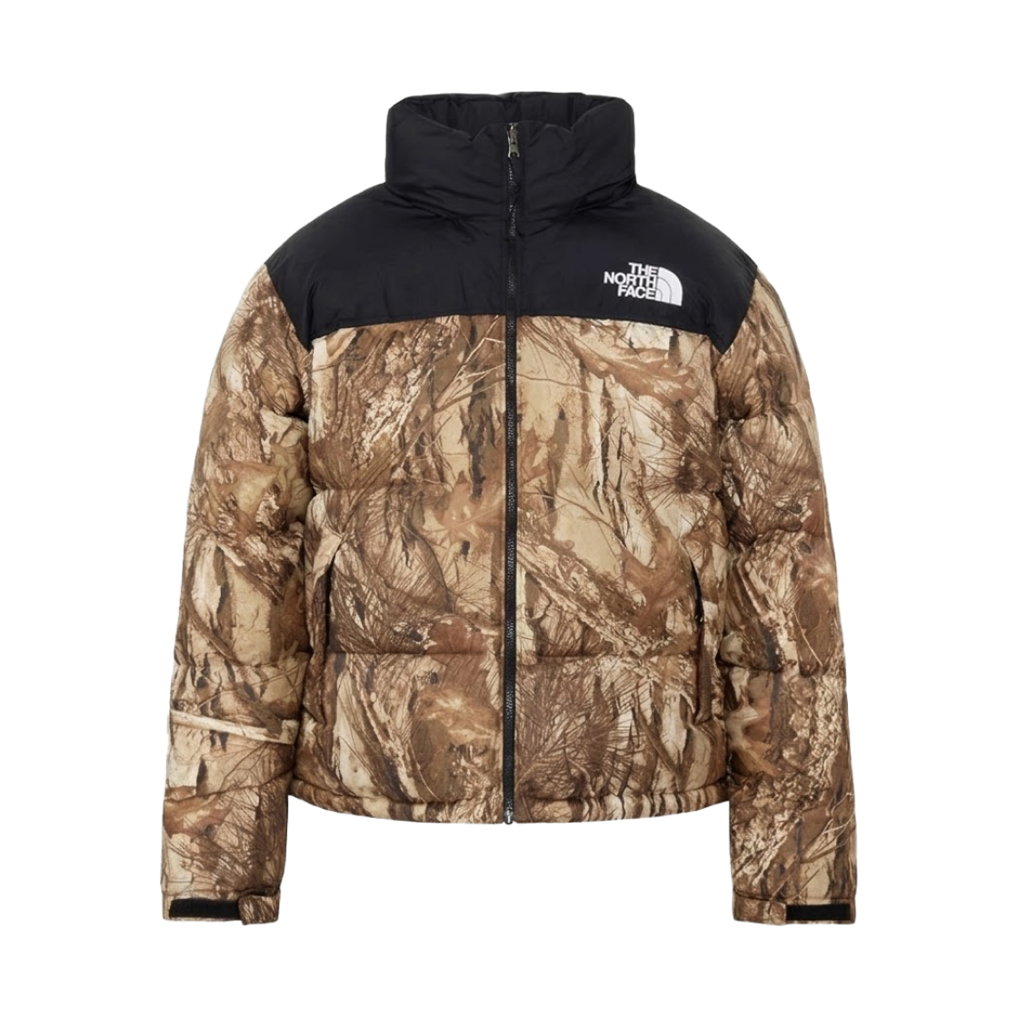 ND92556FF The North Face Novelty Nuptse Jacket Forest Floor