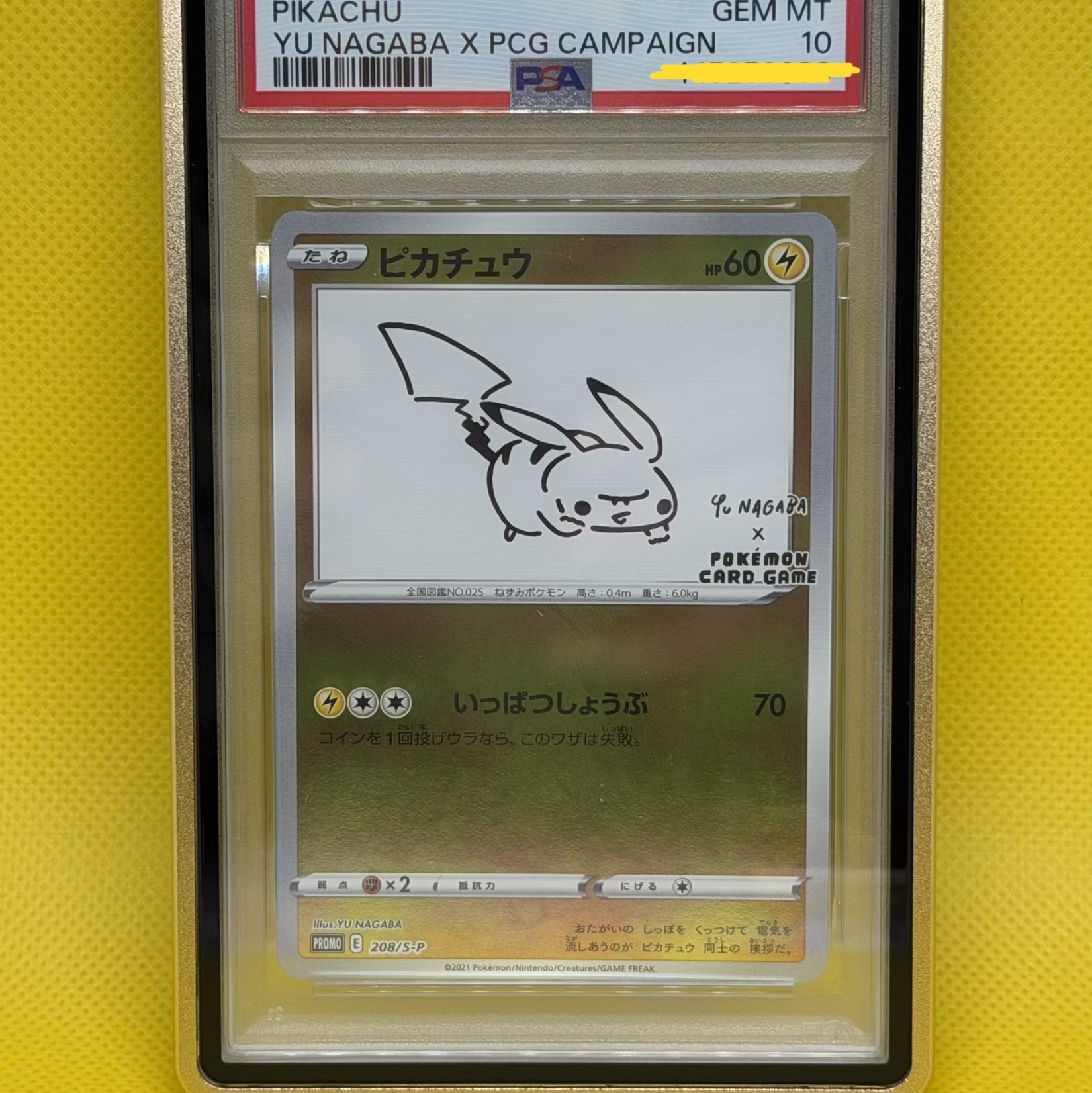 Pokemon TCG Pikachu P Yu Nagaba Sword & Shield Promos (Japanese Ver.) 착용 스타일