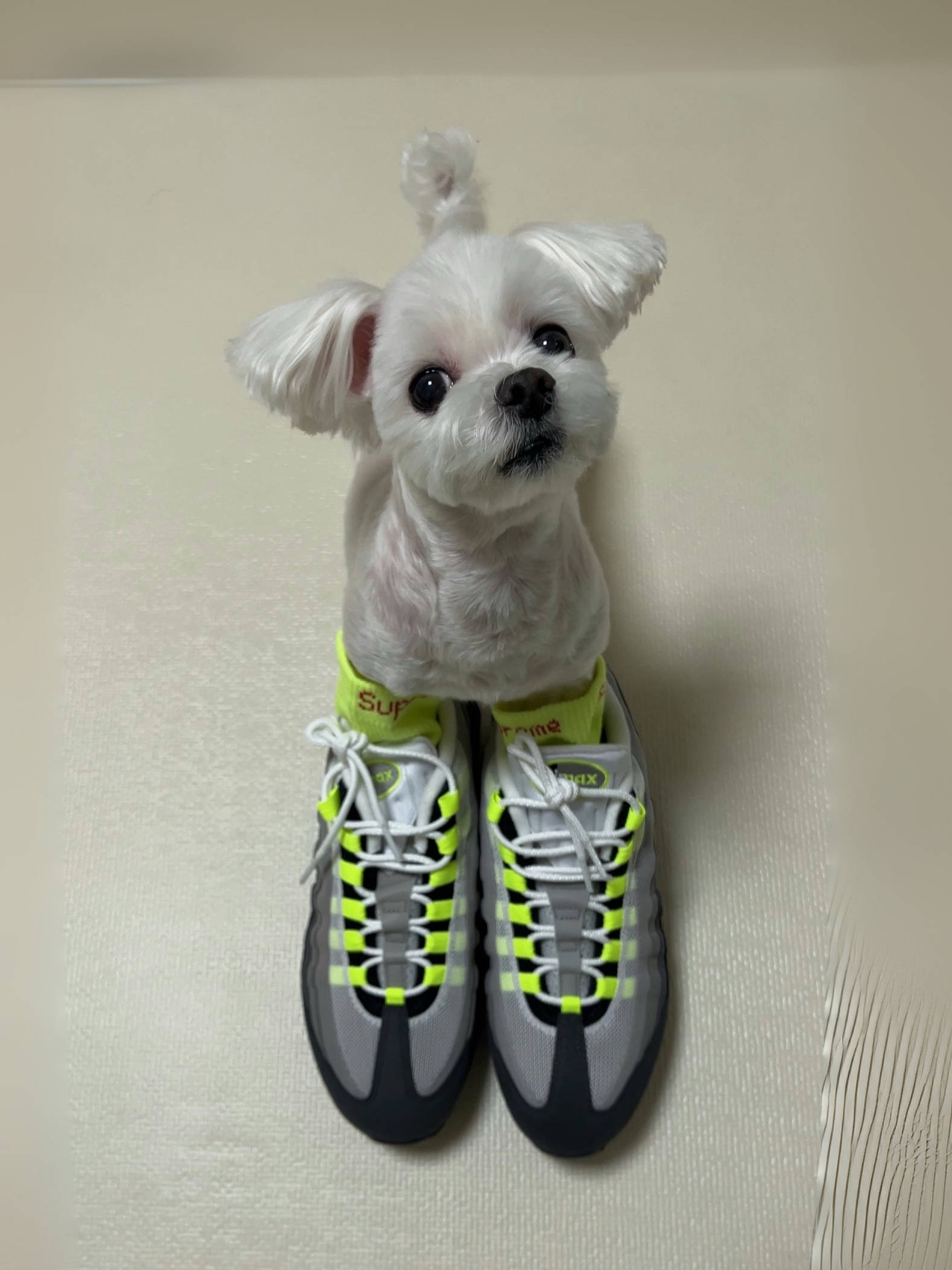 Supreme Hanes Crew Socks Fluorescent Yellow (4 Pack), Nike Air Max 95 OG Neon 착용 스타일 - 4