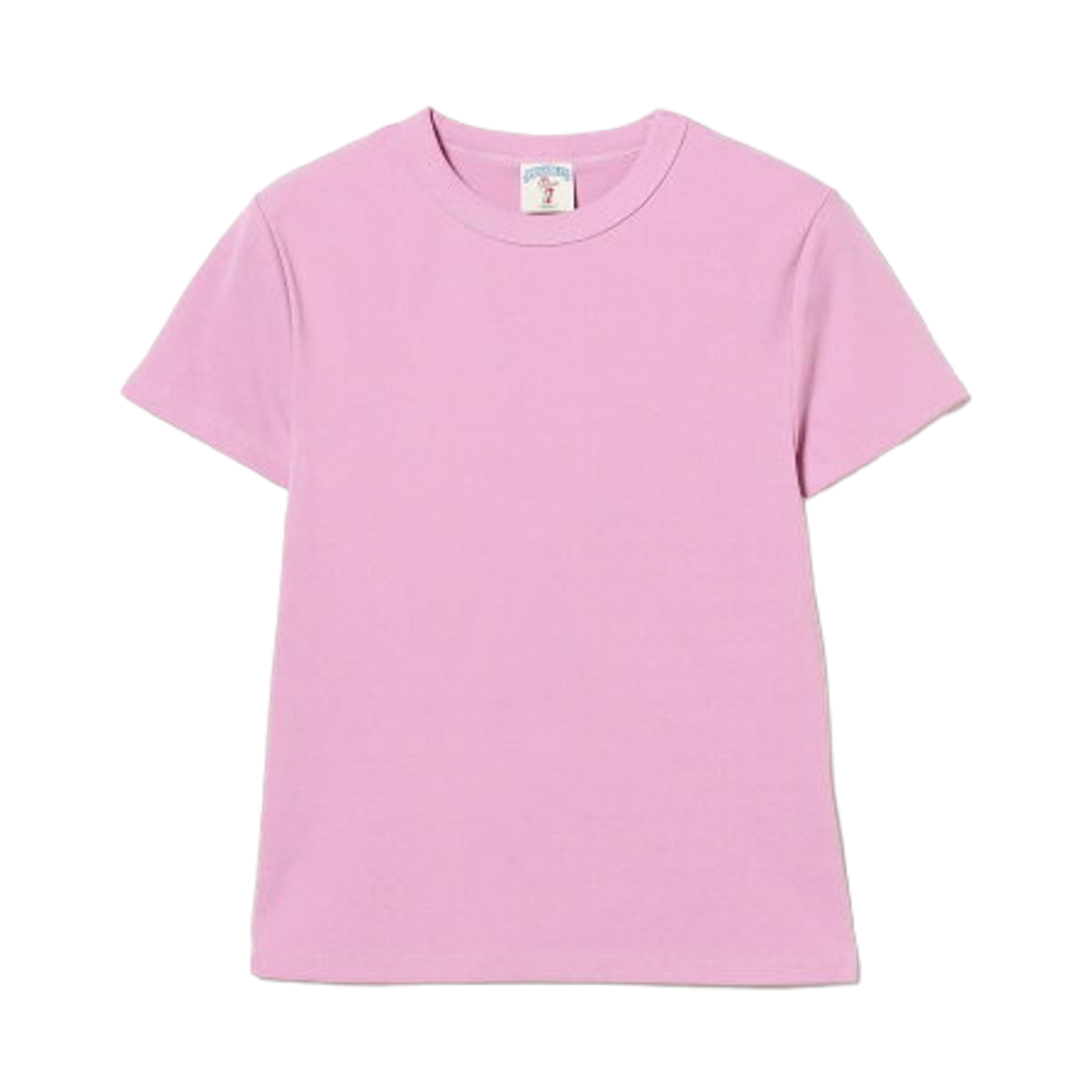 61-04-1462-498 (W) Ray Beams x Piccadilly Rib T-Shirt Plum