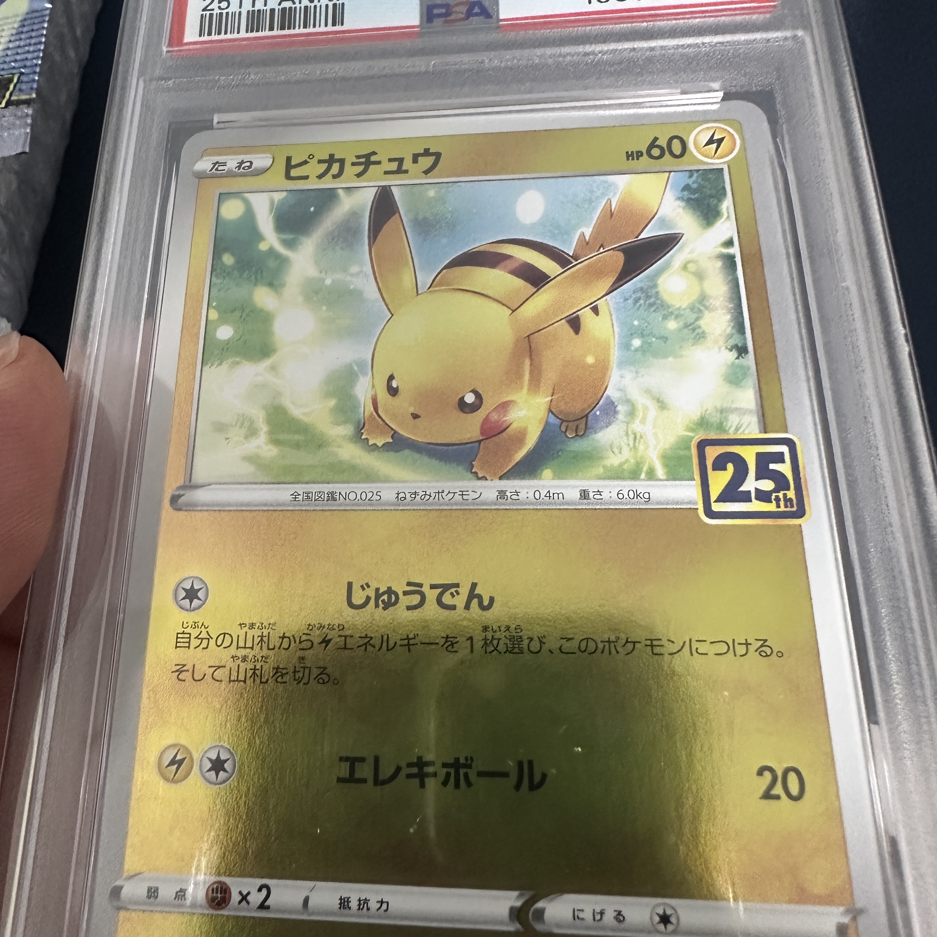 Pokemon TCG Pikachu 25Th Anniversary Golden Box (Japanese Ver.) 착용 스타일