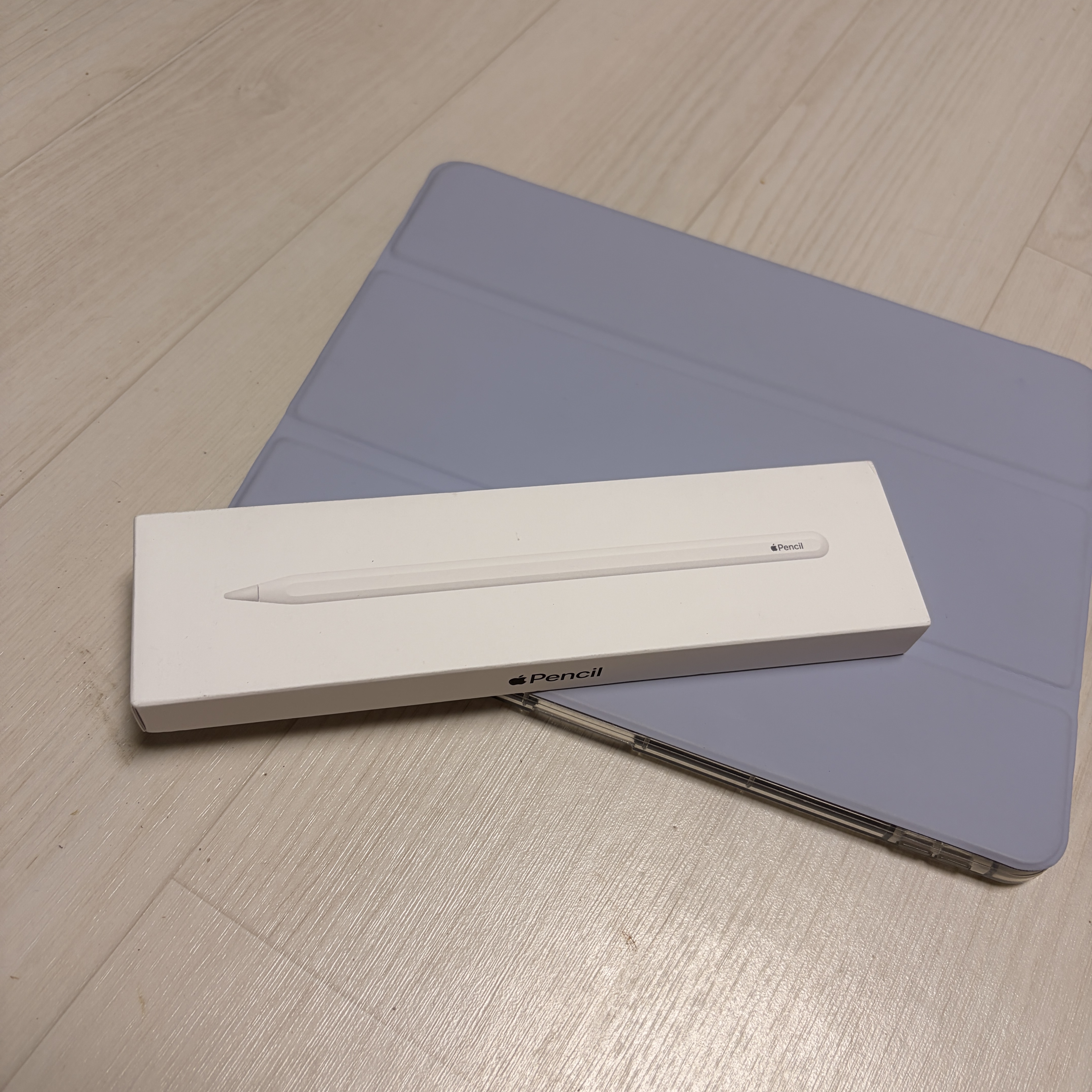 Apple Pencil 2nd Gen (Korean Ver.) 착용 스타일