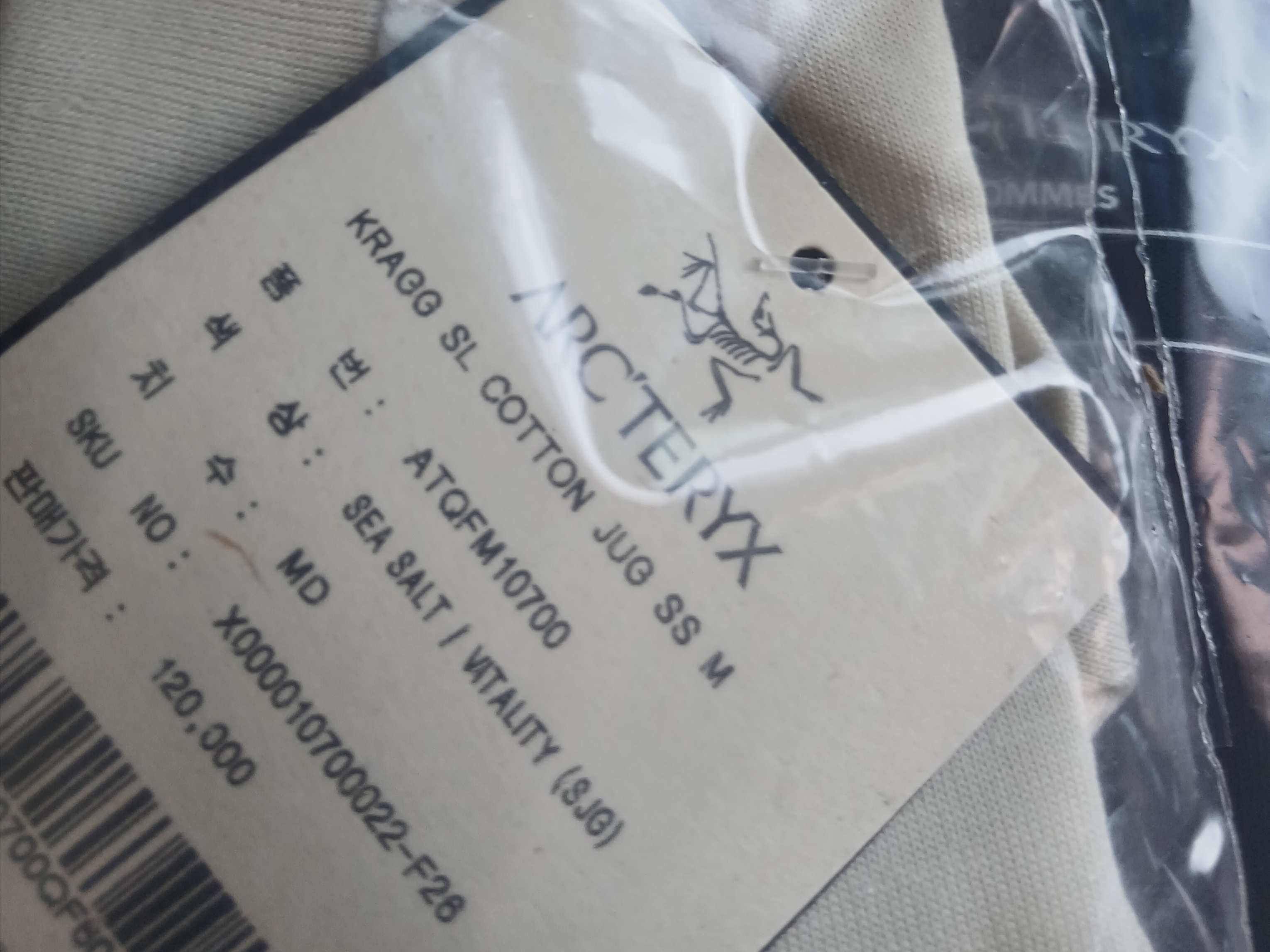 Arc'teryx Kragg SL Cotton Jug Shirt SS Black Violectric, Arc'teryx Kragg SL Cotton Jug Shirt SS Sea Salt Vitality 착용 스타일 - 5