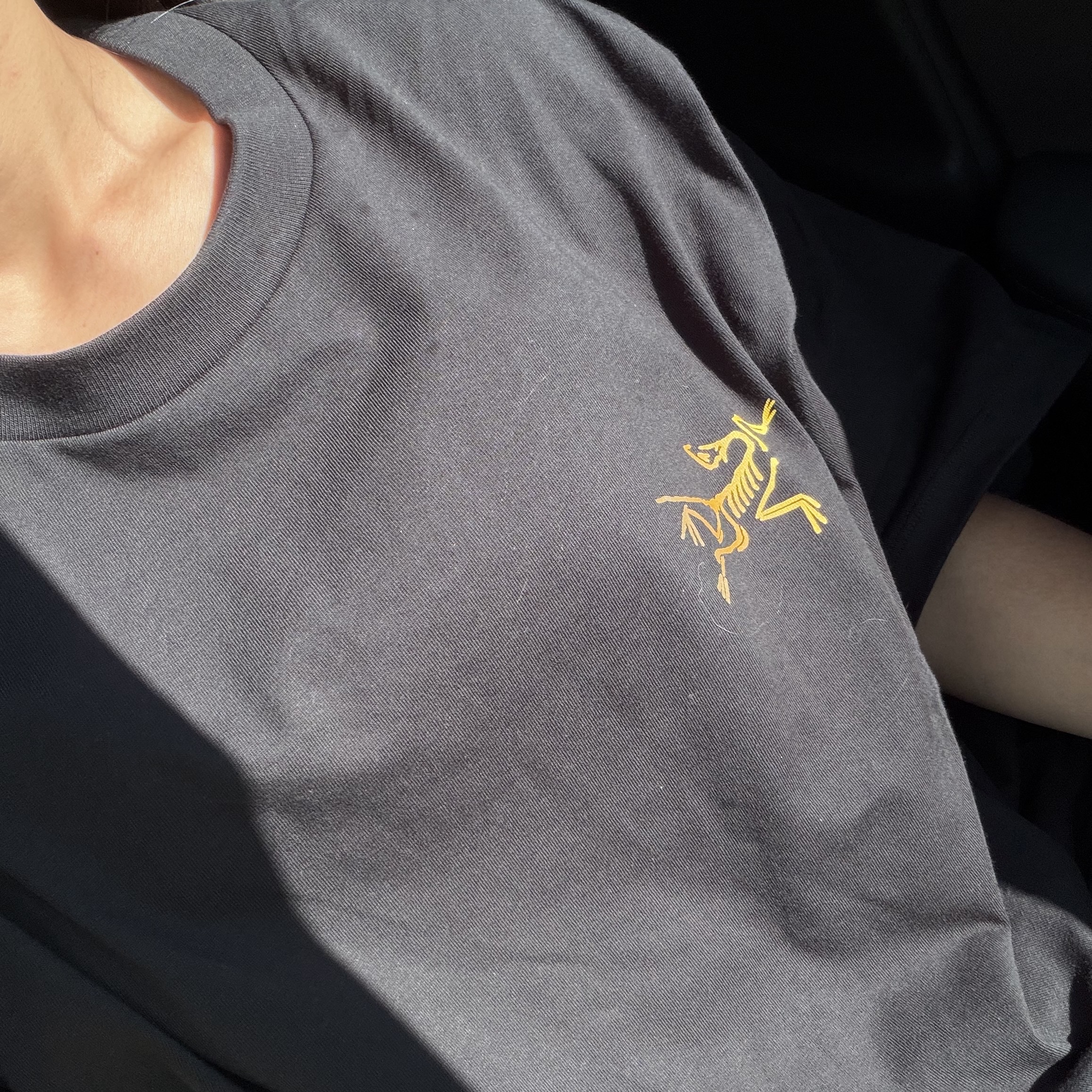 Arc'teryx Kragg Cotton Logo SS T-Shirt 24K Black 착용 스타일