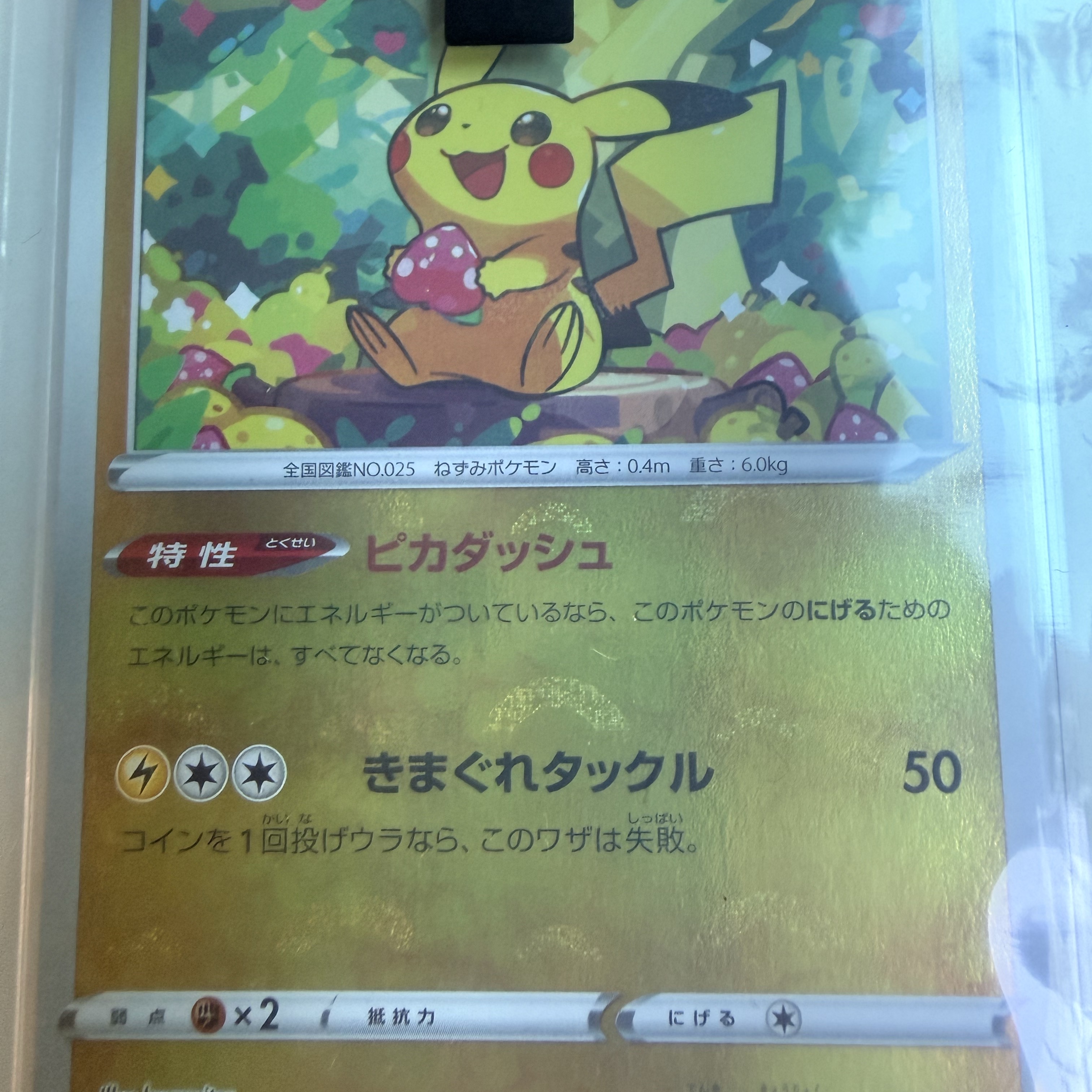 Pokemon TCG Pikachu C Mirror Dark Phantasma (Japanese Ver.) 착용 스타일