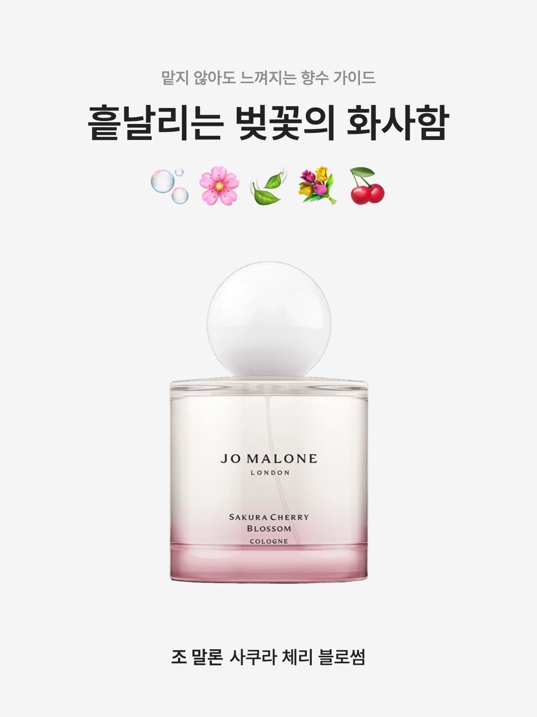 Jo Malone Limited Edition Sakura Cherry Blossom Cologne 30ml, Jo Malone Sakura Cherry Blossom Cologne 100ml 착용 스타일 - 1