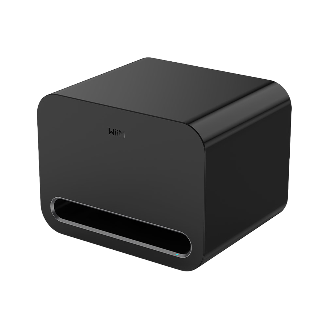 윔 서브 프로 서브 우퍼(WiiM Sub Pro Sub Woofer) - 3