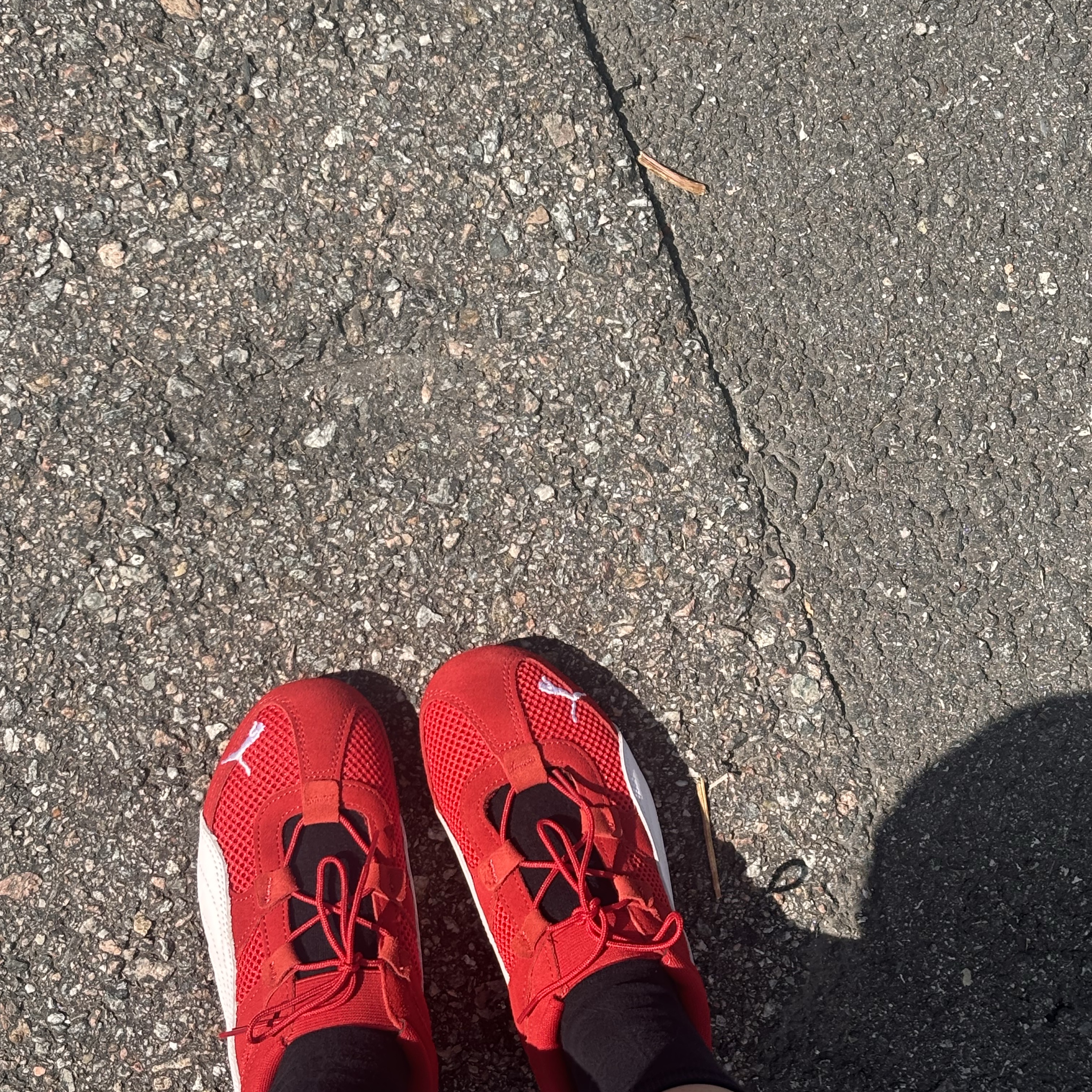 (W) Puma Speedcat Go For All Time Red Puma White 착용 스타일 - 2