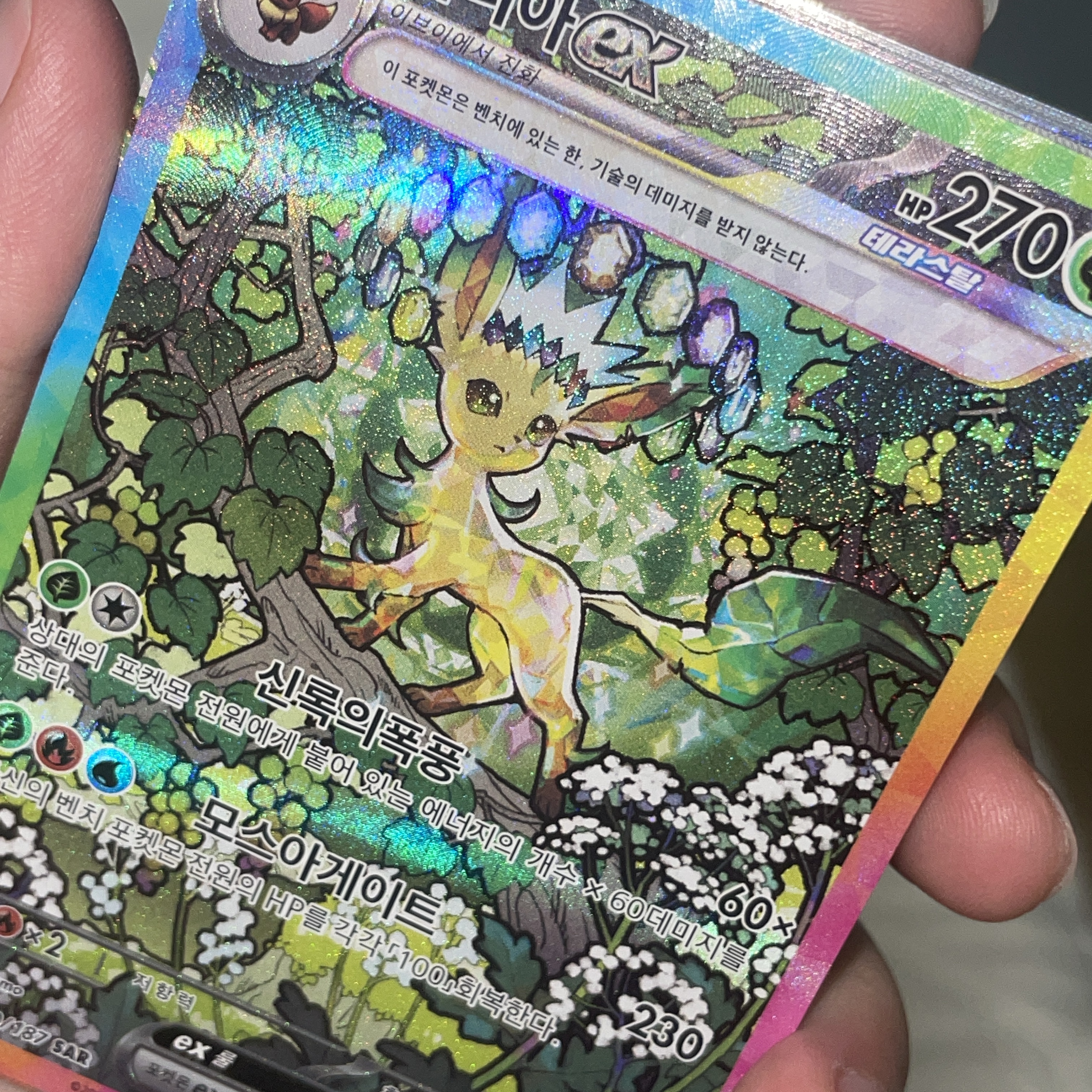 Pokemon TCG Scarlet & Violet High Class Pack Terastal Festival EX Box (Pack of 10/Korean Ver.) 착용 스타일