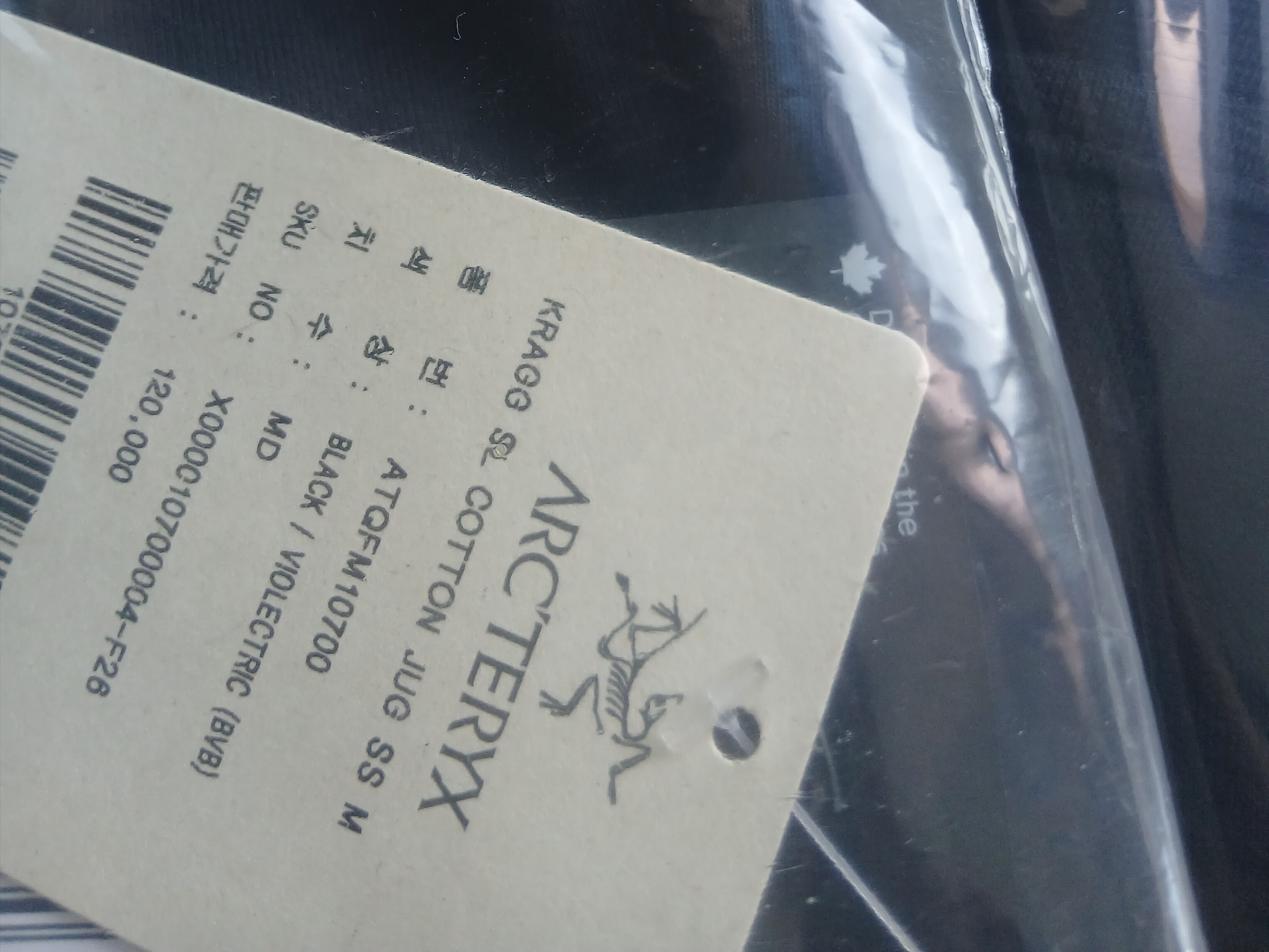 Arc'teryx Kragg SL Cotton Jug Shirt SS Black Violectric, Arc'teryx Kragg SL Cotton Jug Shirt SS Sea Salt Vitality 착용 스타일 - 4