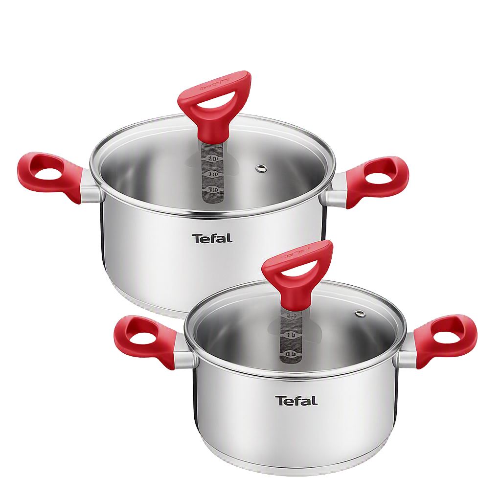 테팔 에디션 레드 인덕션냄비 양수18cm+양수20cm(Tefal Edition Red Induction Stockpot 18cm + Stockpot 20cm)