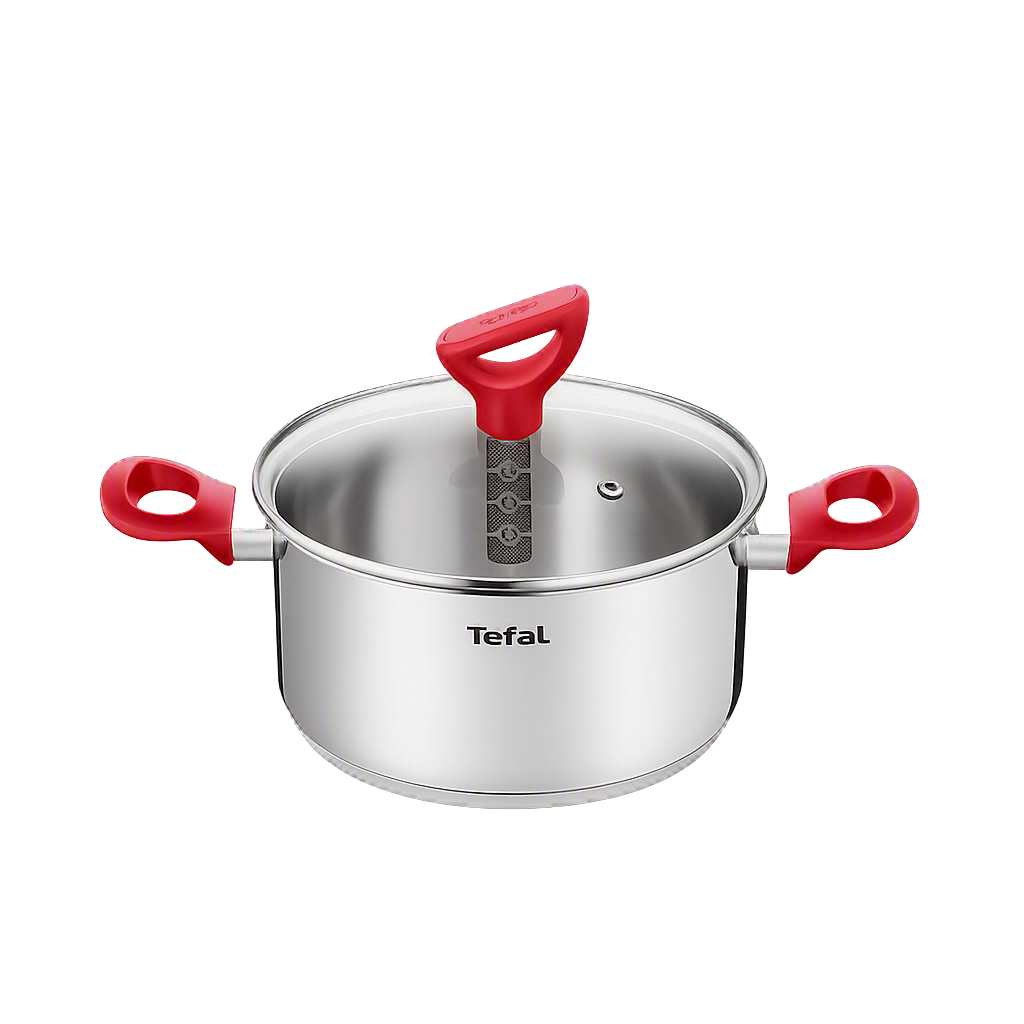 테팔 에디션 레드 인덕션 양수냄비 20cm(Tefal Edition Red Induction Stockpot 20cm) - 1