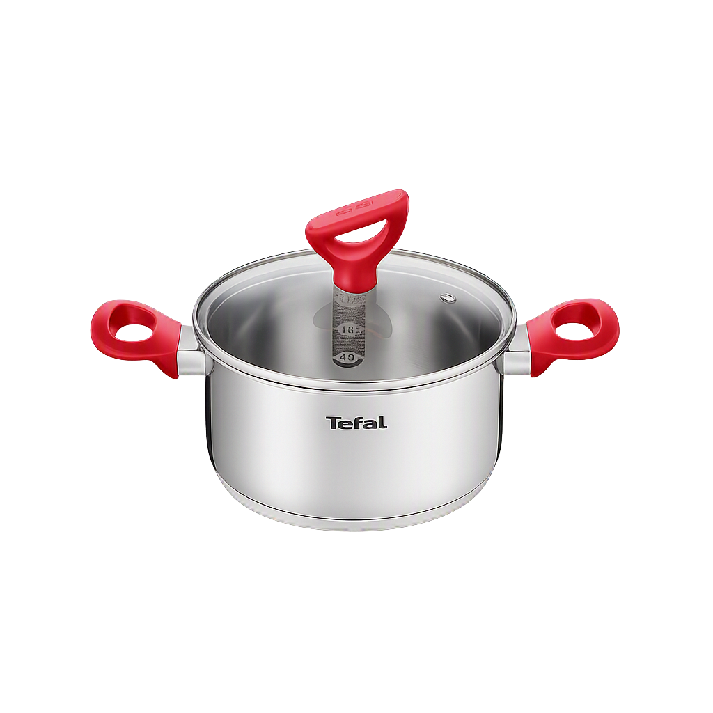 테팔 에디션 레드 인덕션 양수냄비 18cm(Tefal Edition Red Induction Stockpot 18cm)